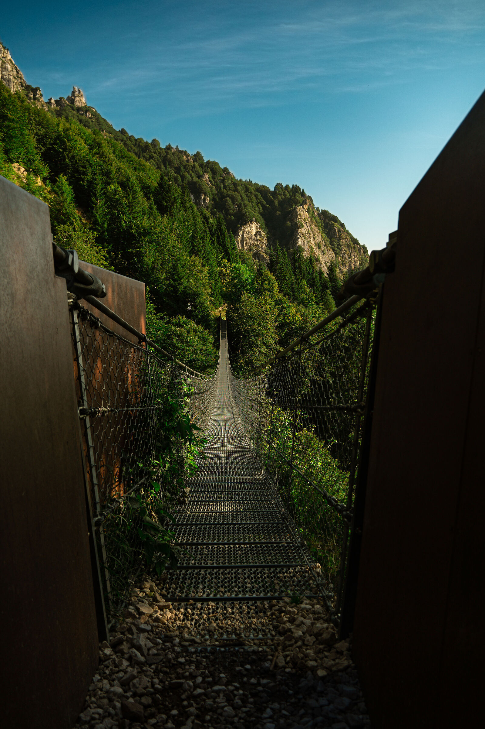 Tibetan avis bridge
