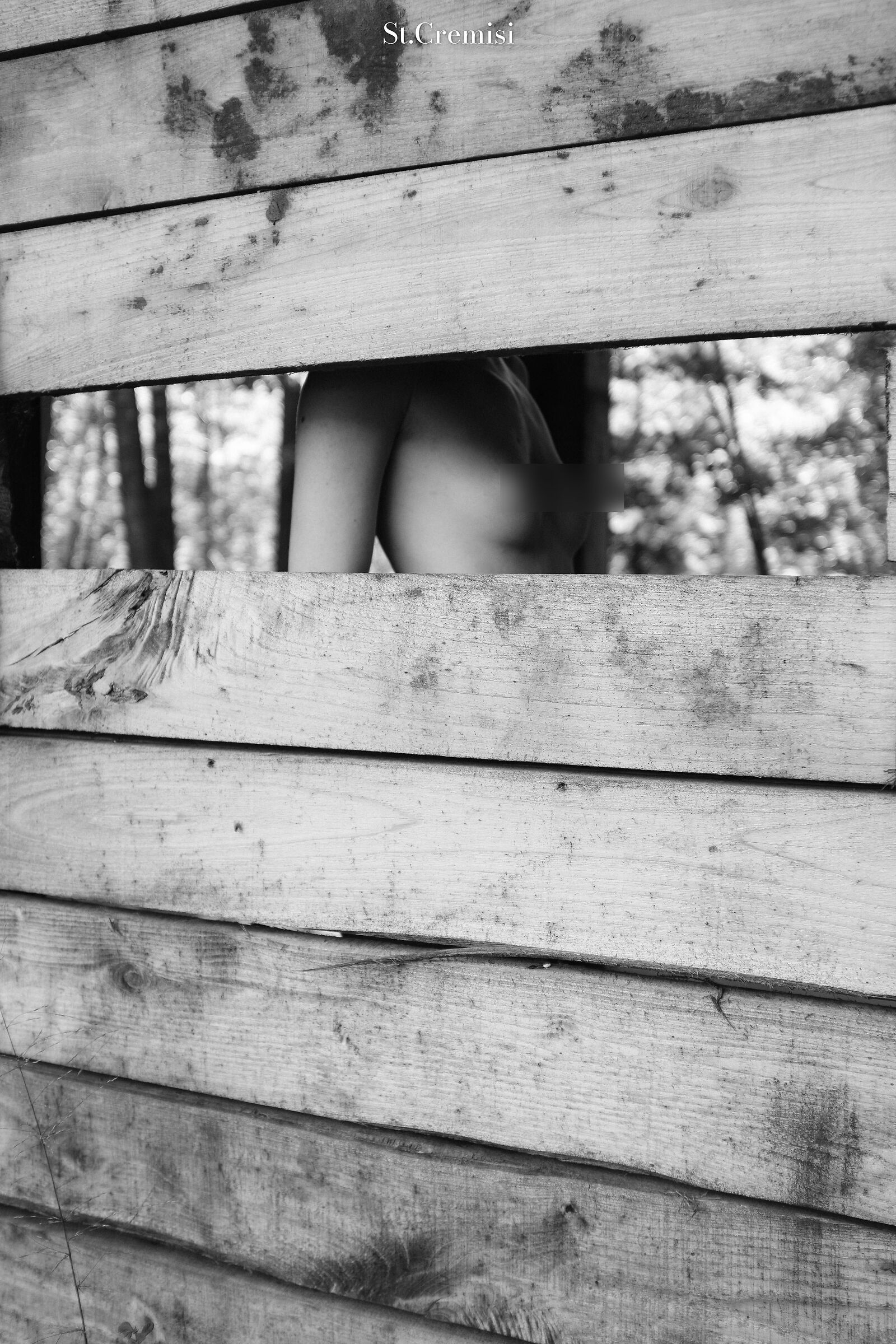 Alpan in the woods