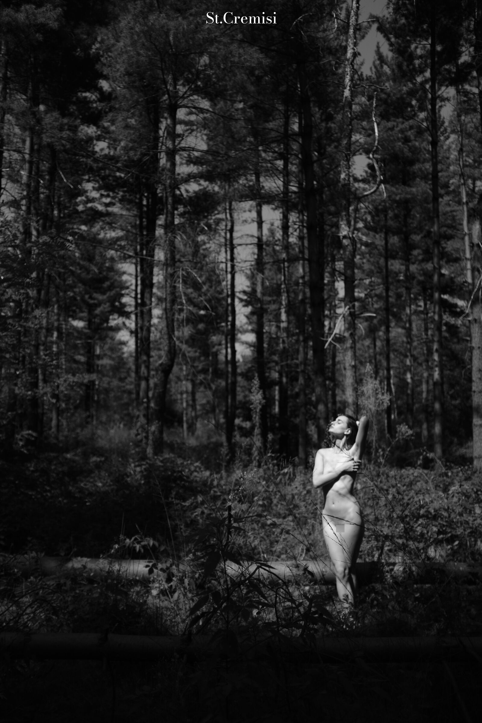 Alpan in the woods