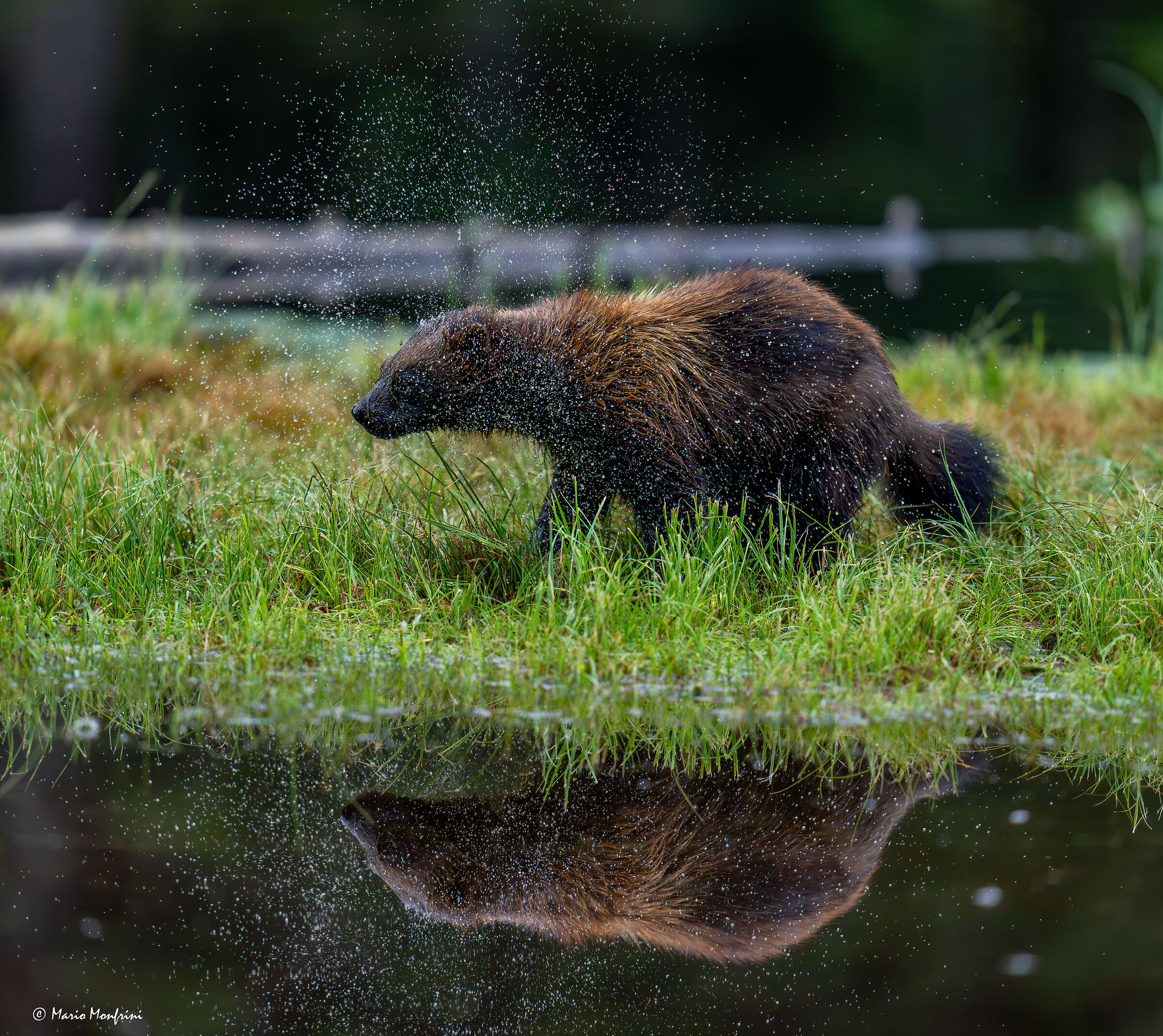 centrifuge activated!