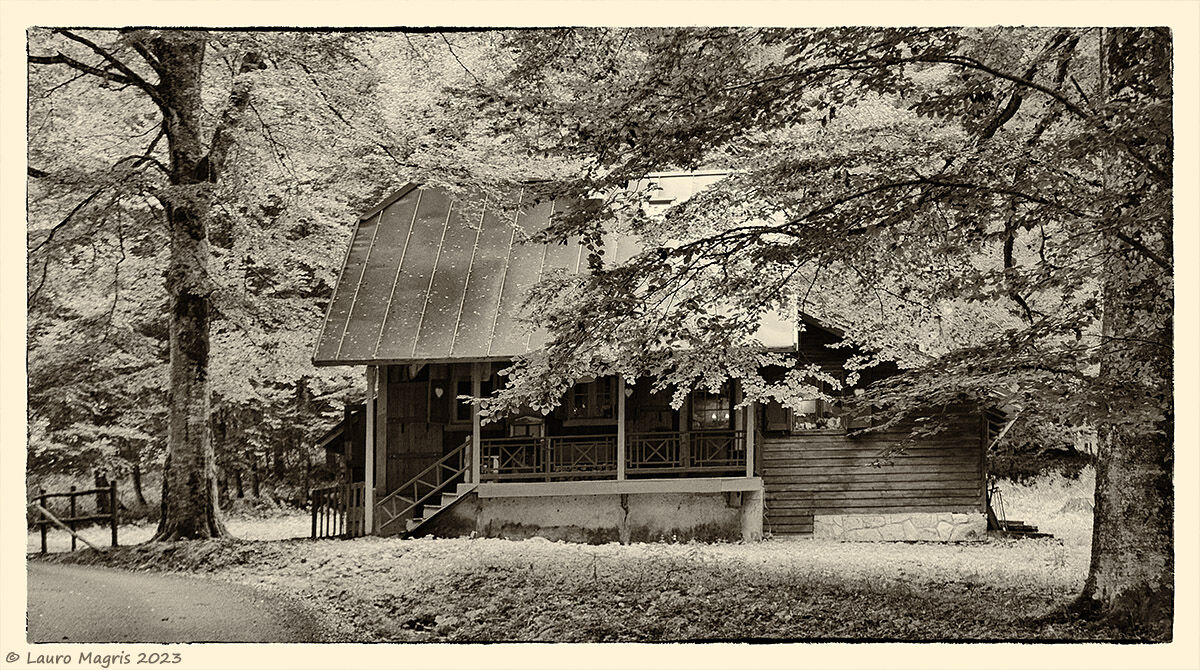 Towards evening from Bolp
