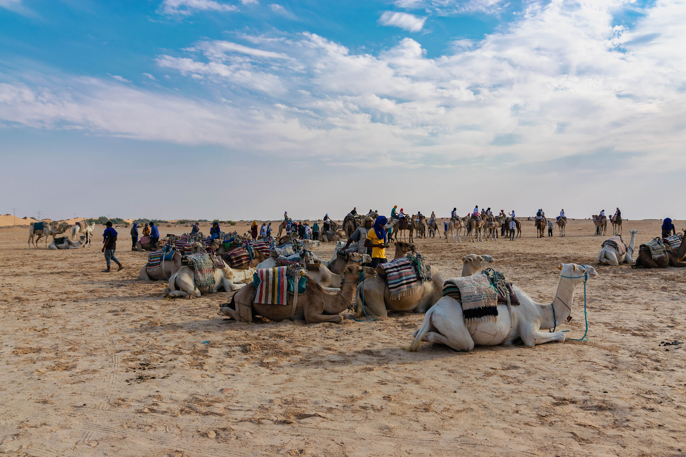 Pronti per il deserto