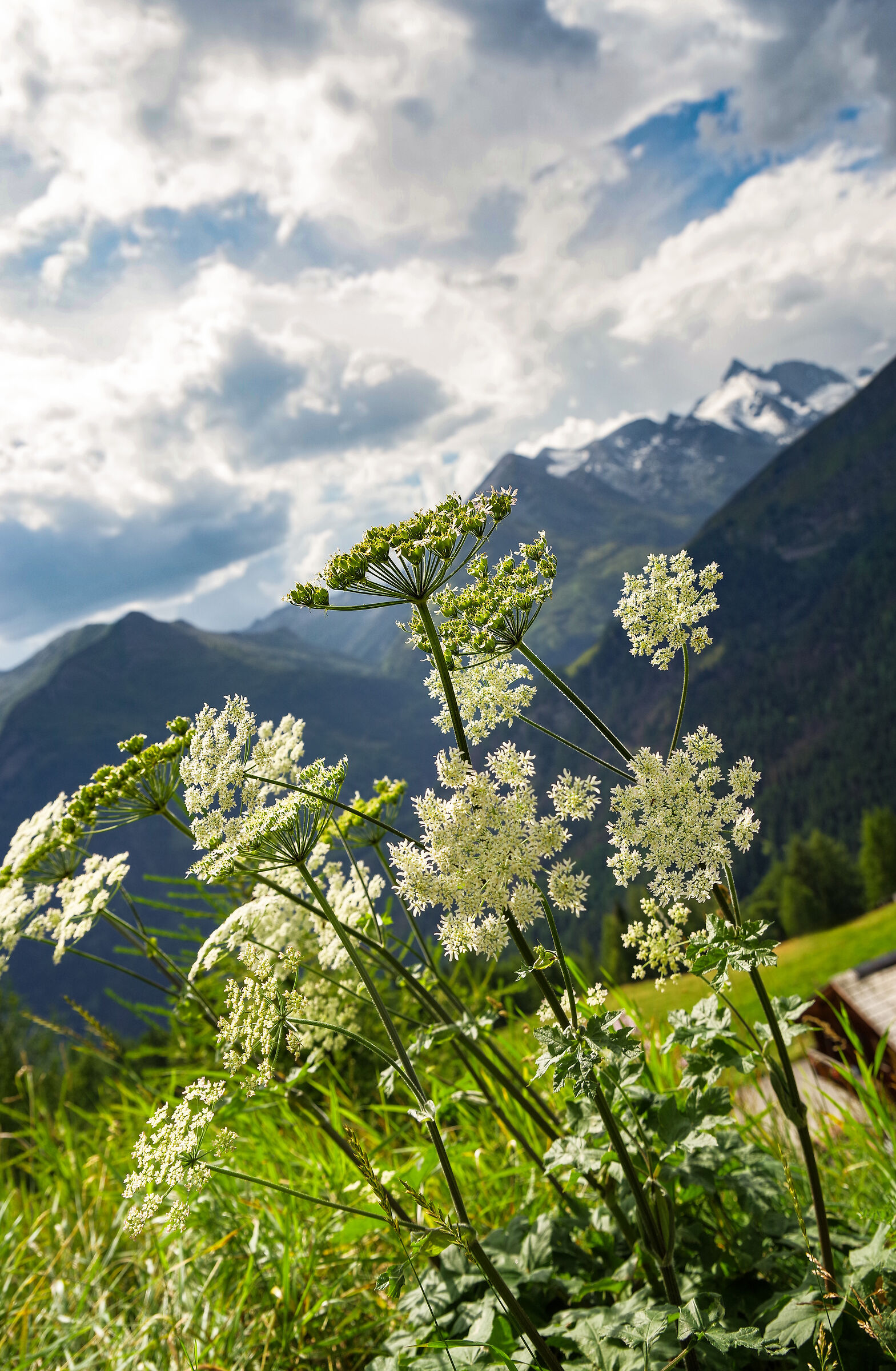 sulla strada del Grossglockner