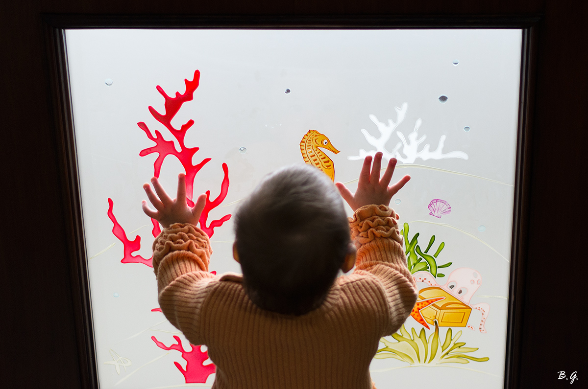 Beyond the glass ...