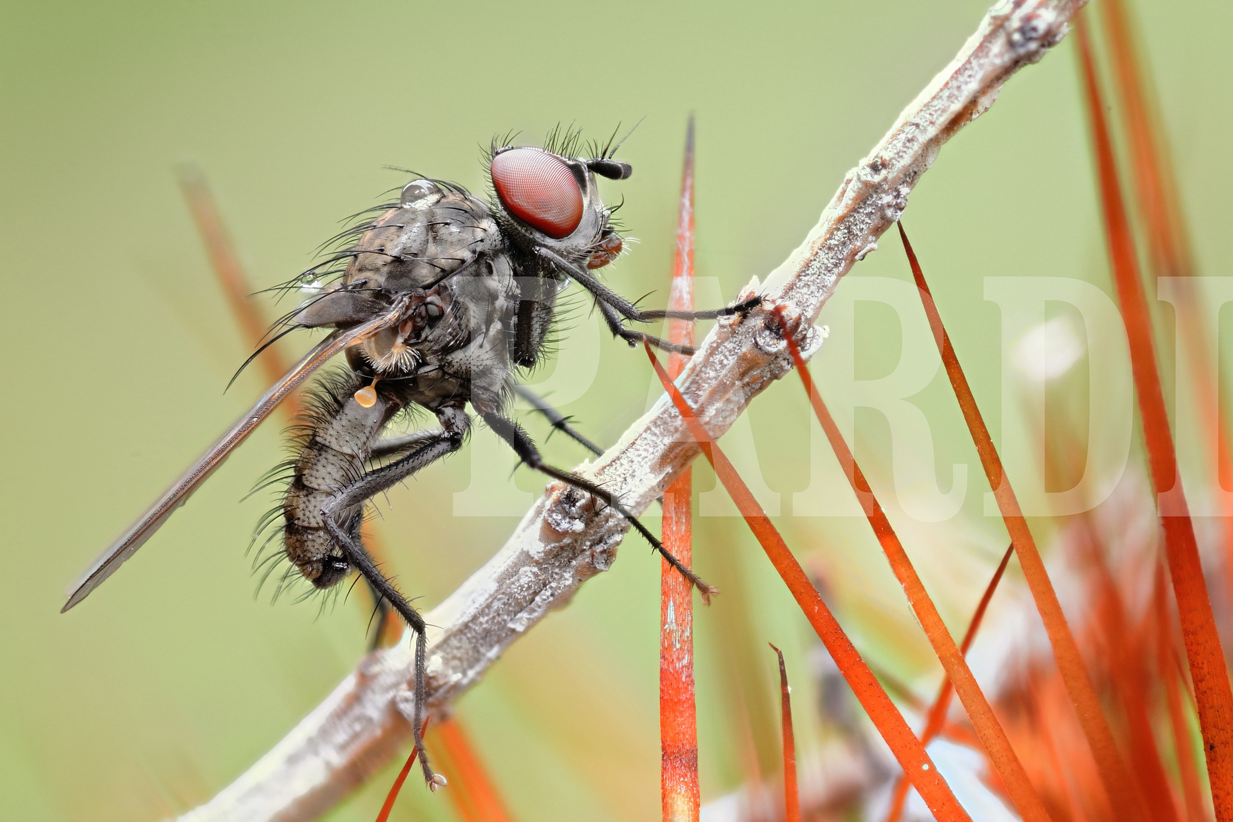 Stay on your toes ...