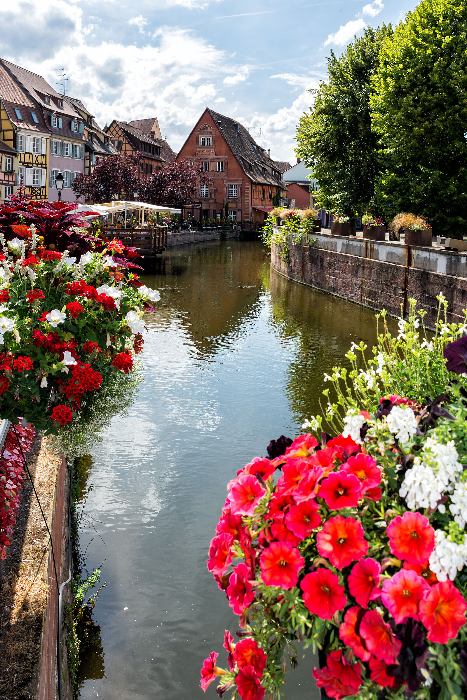The flowers of the Petite Venice
