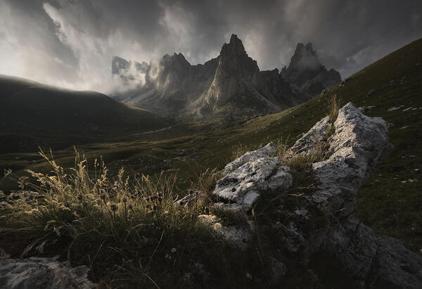 Foto