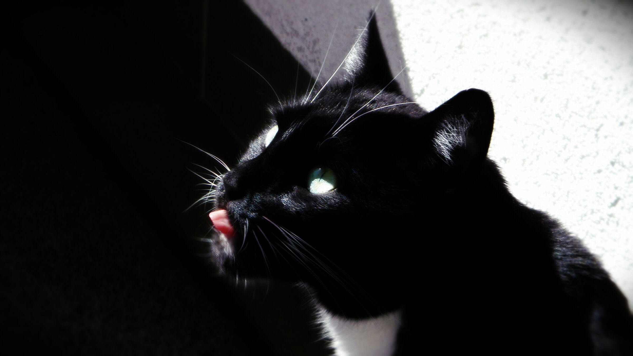 Devo averla sollevata male...