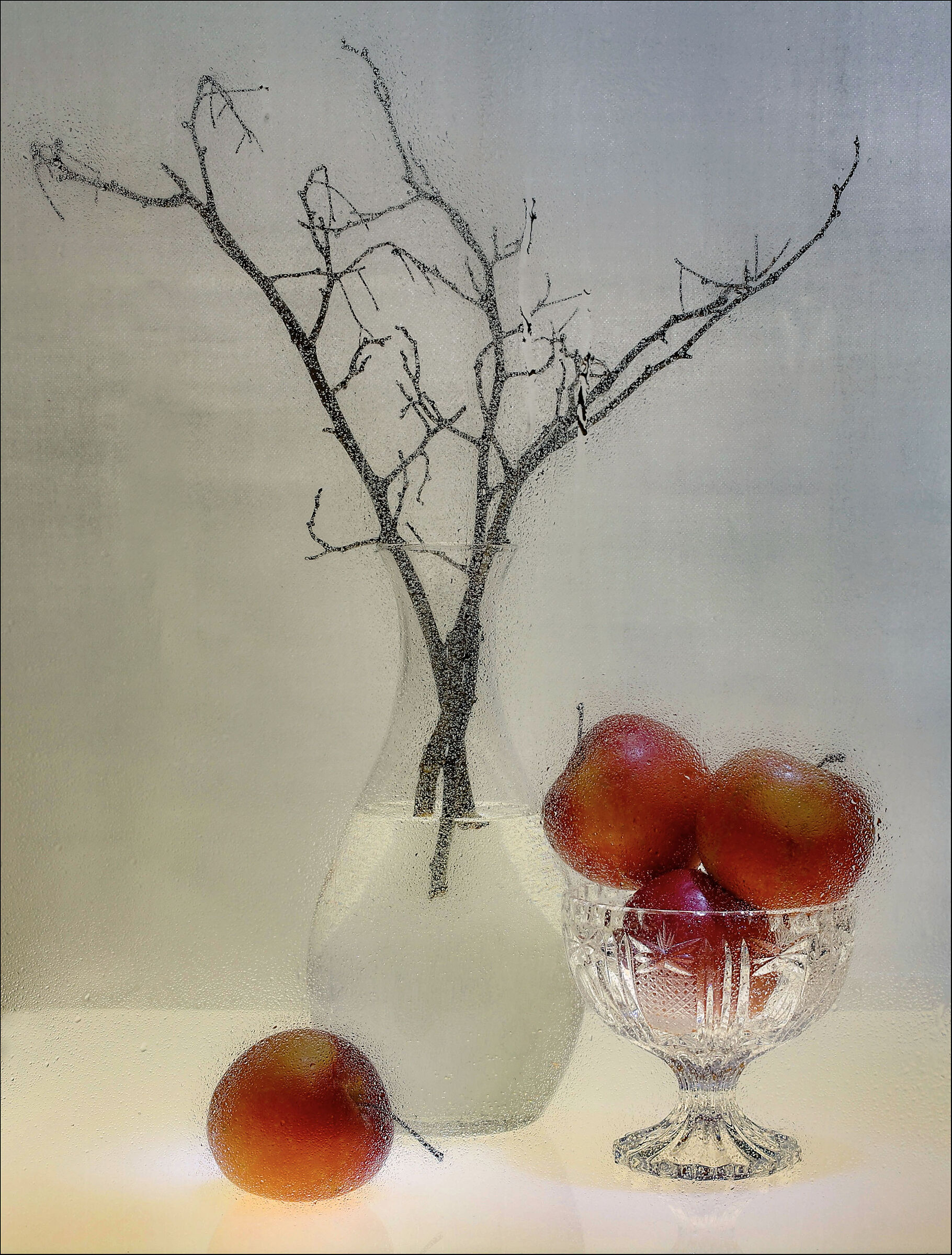 Still Life
