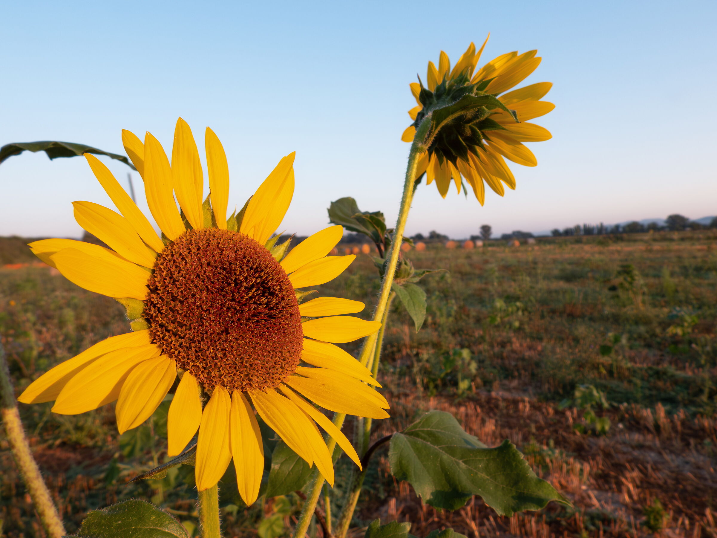 Those waiting for the dawn