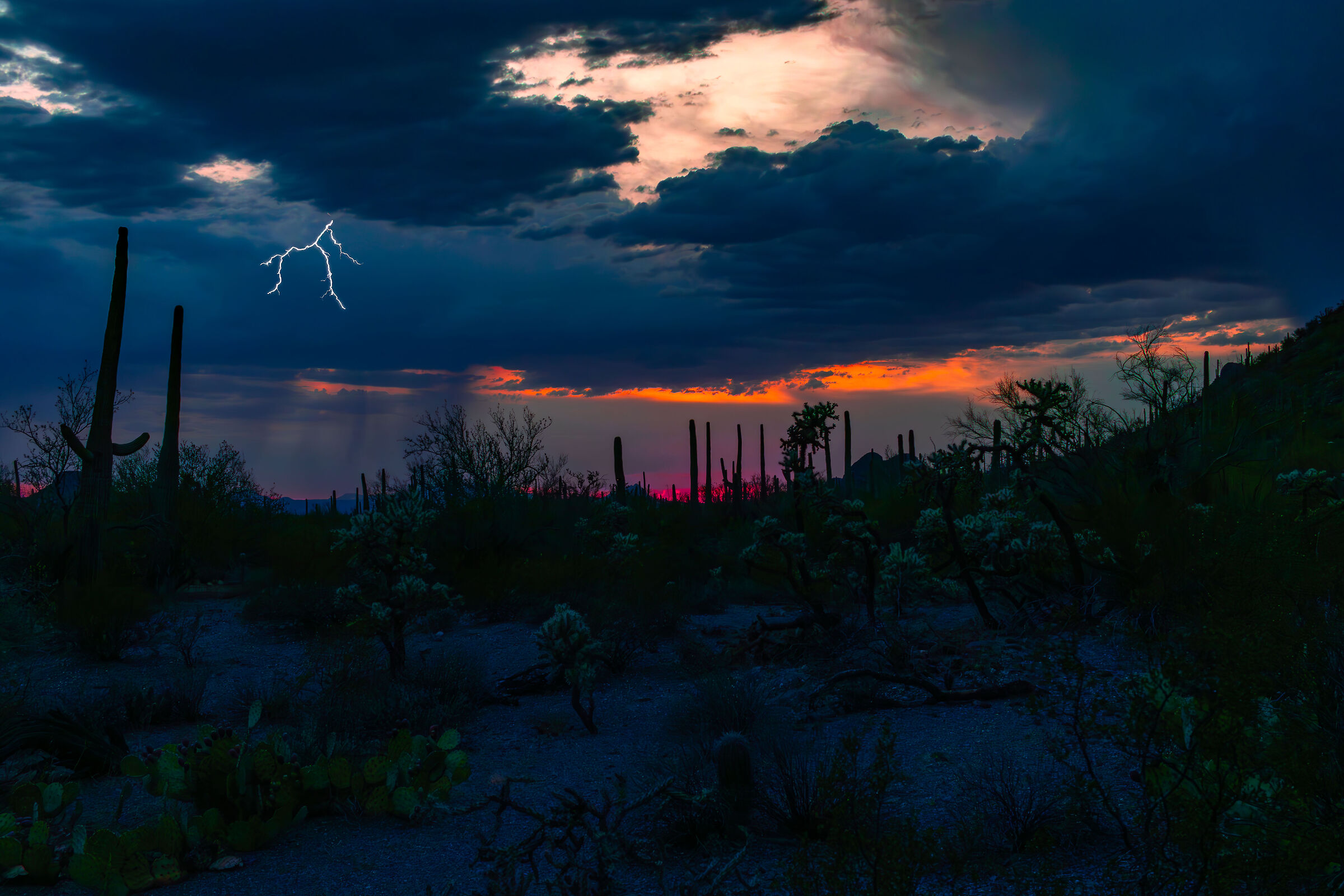 Storm in the desert