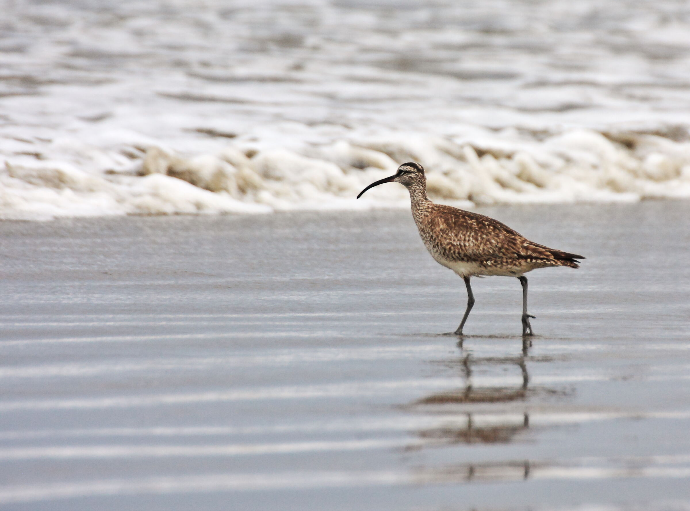 West USA - Morro Bay