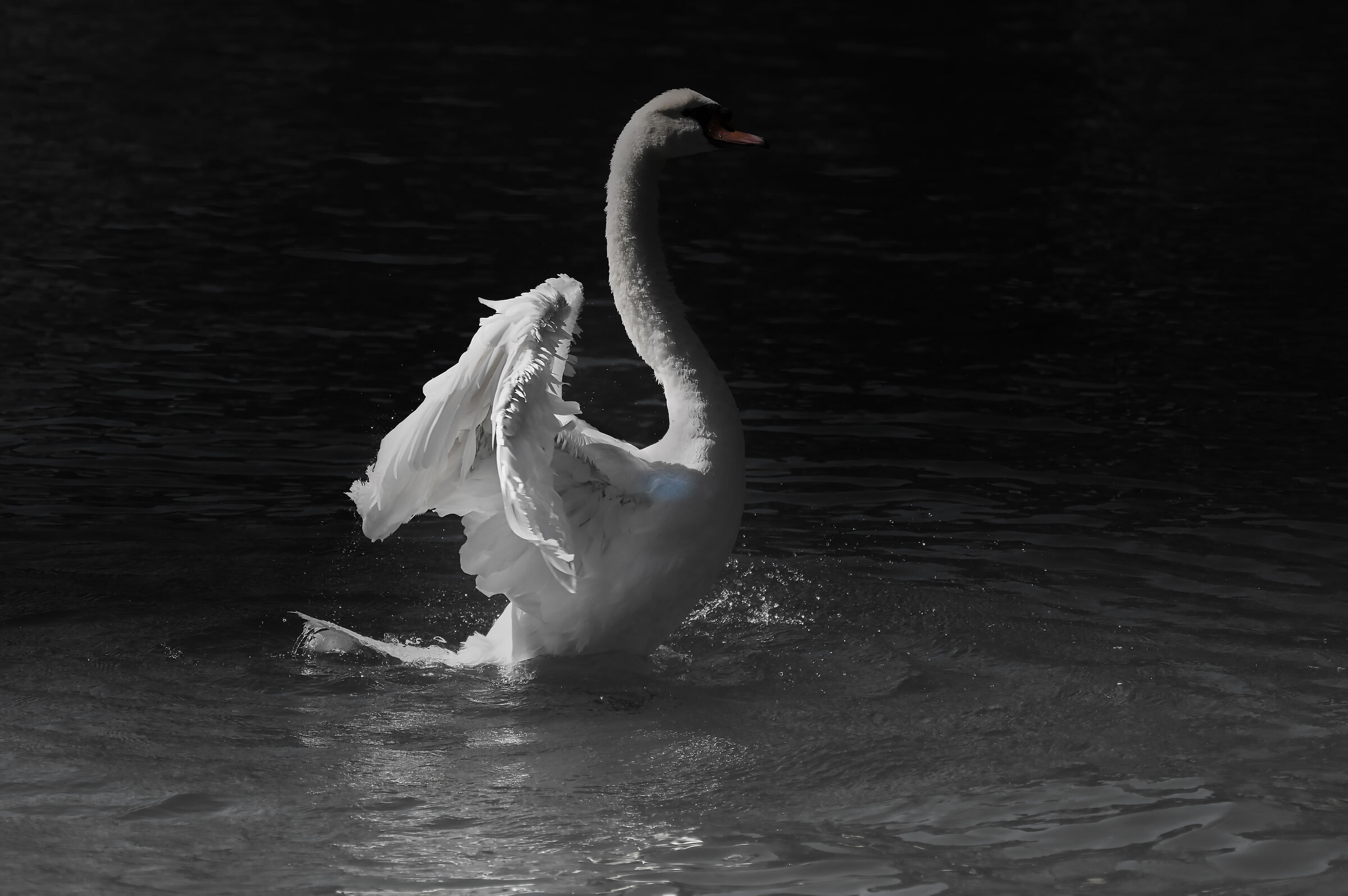 Untitled Photo