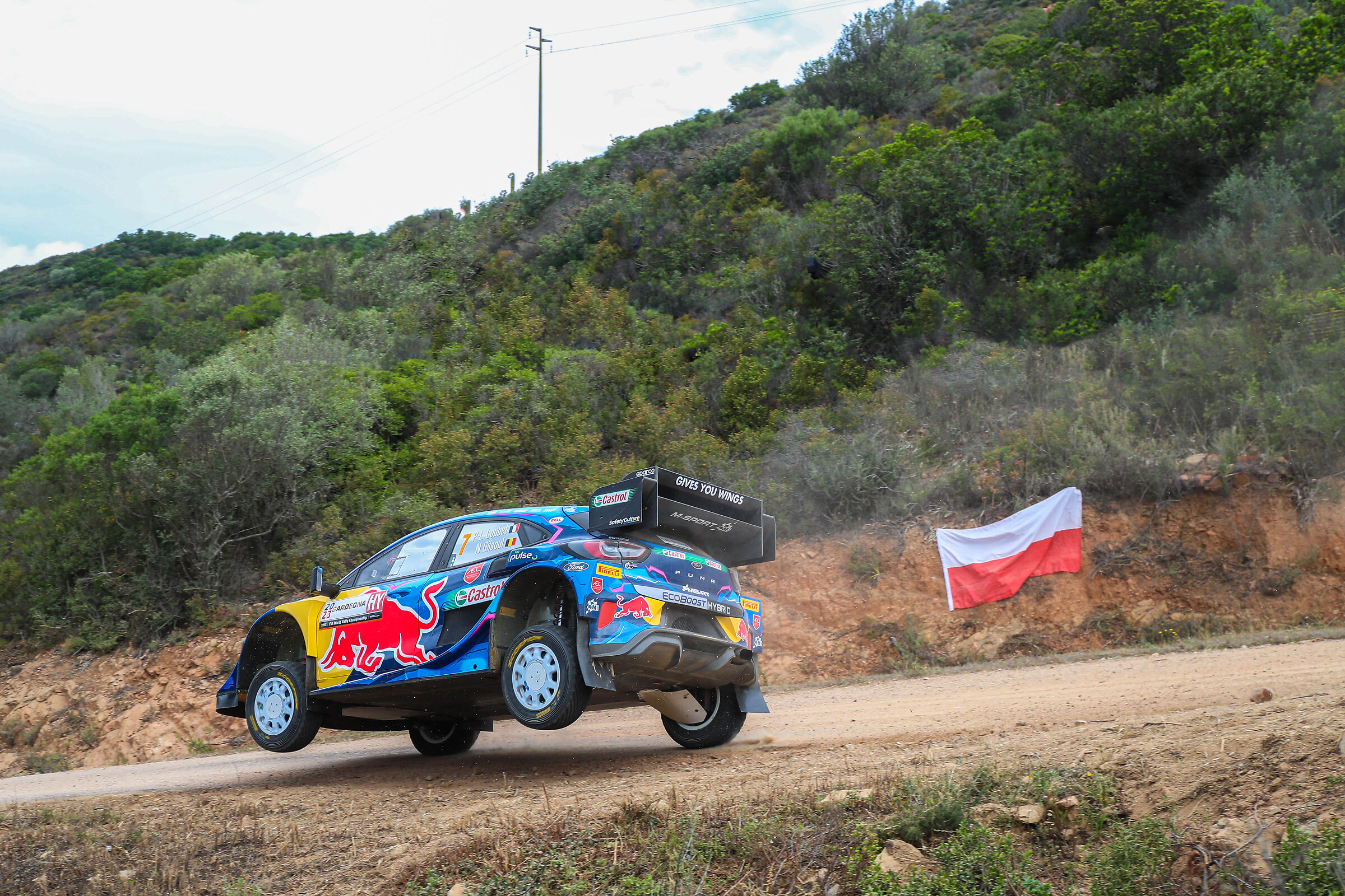 Ford World Rally Team