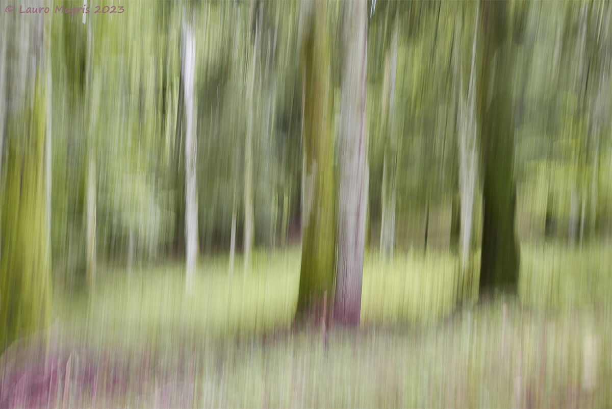 Impressions of the end of August