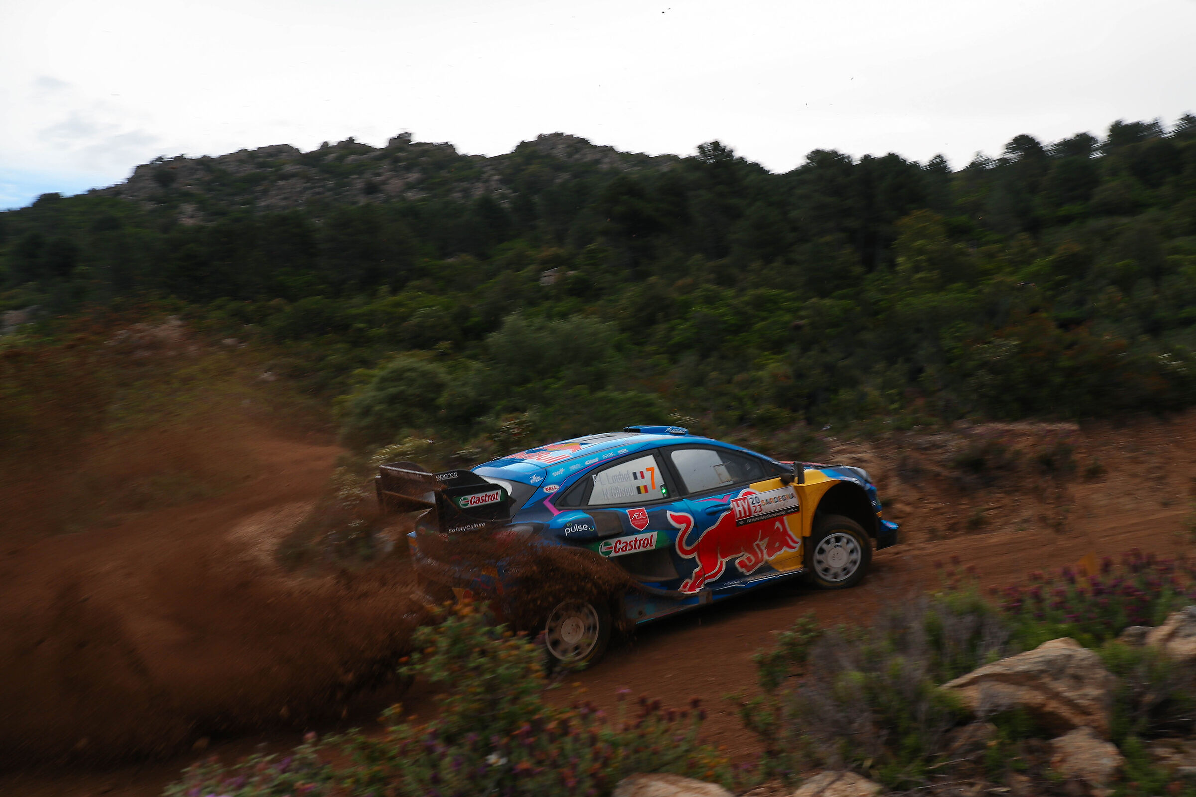 Ford World Rally Team