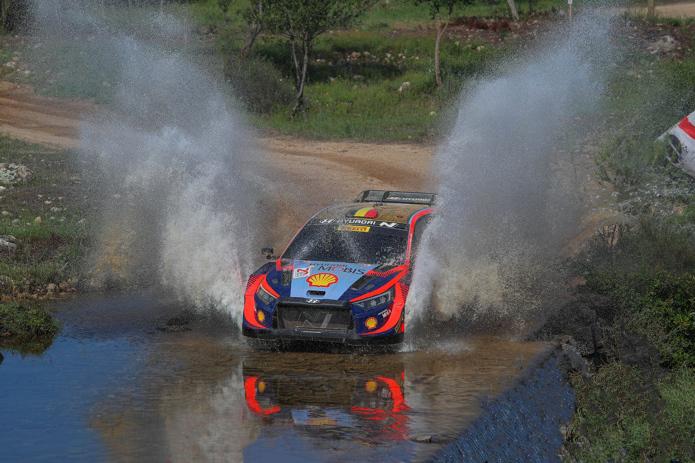 WRC Hyundai Motorsport Team