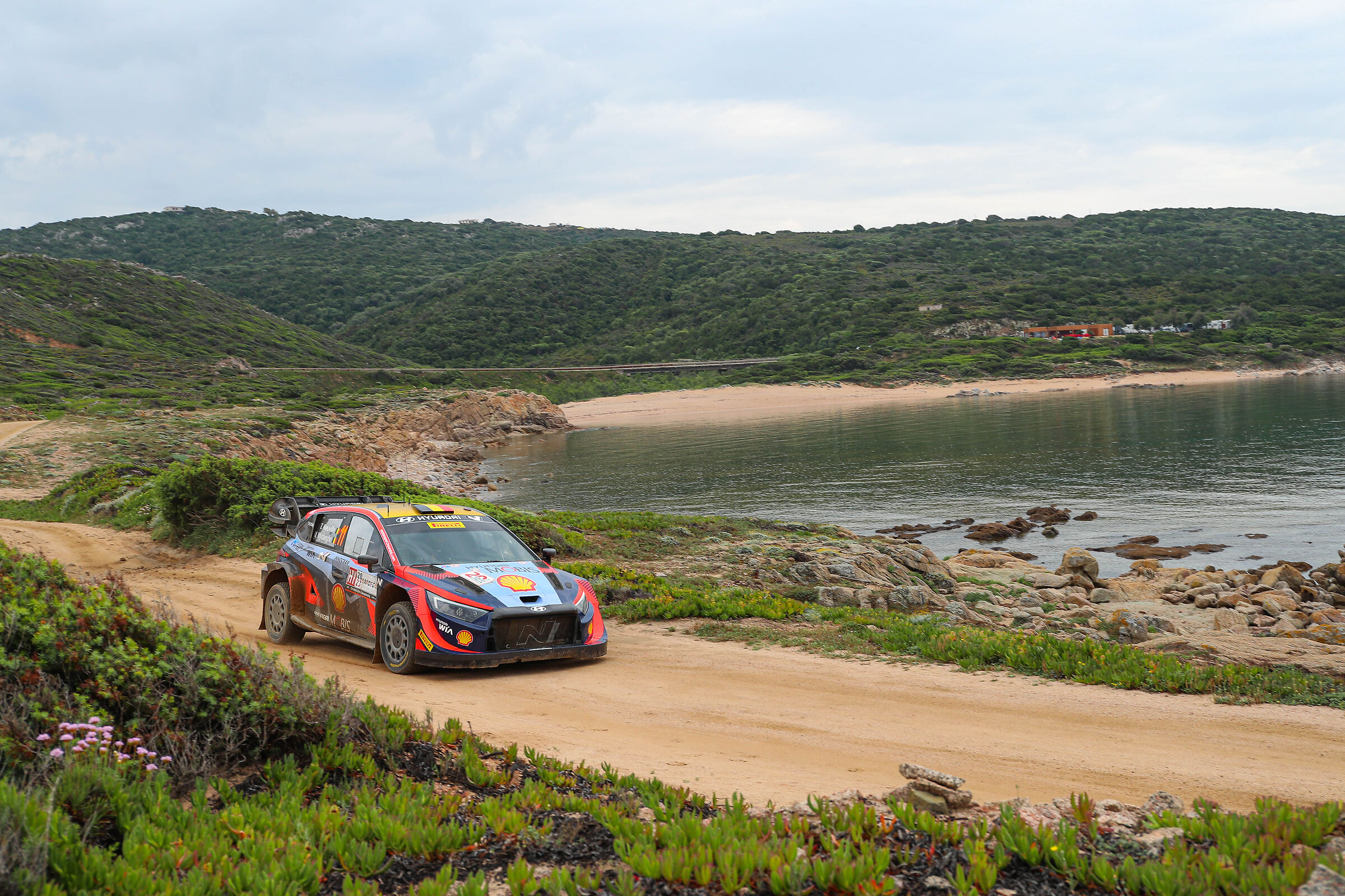 WRC Hyundai Motorsport Team