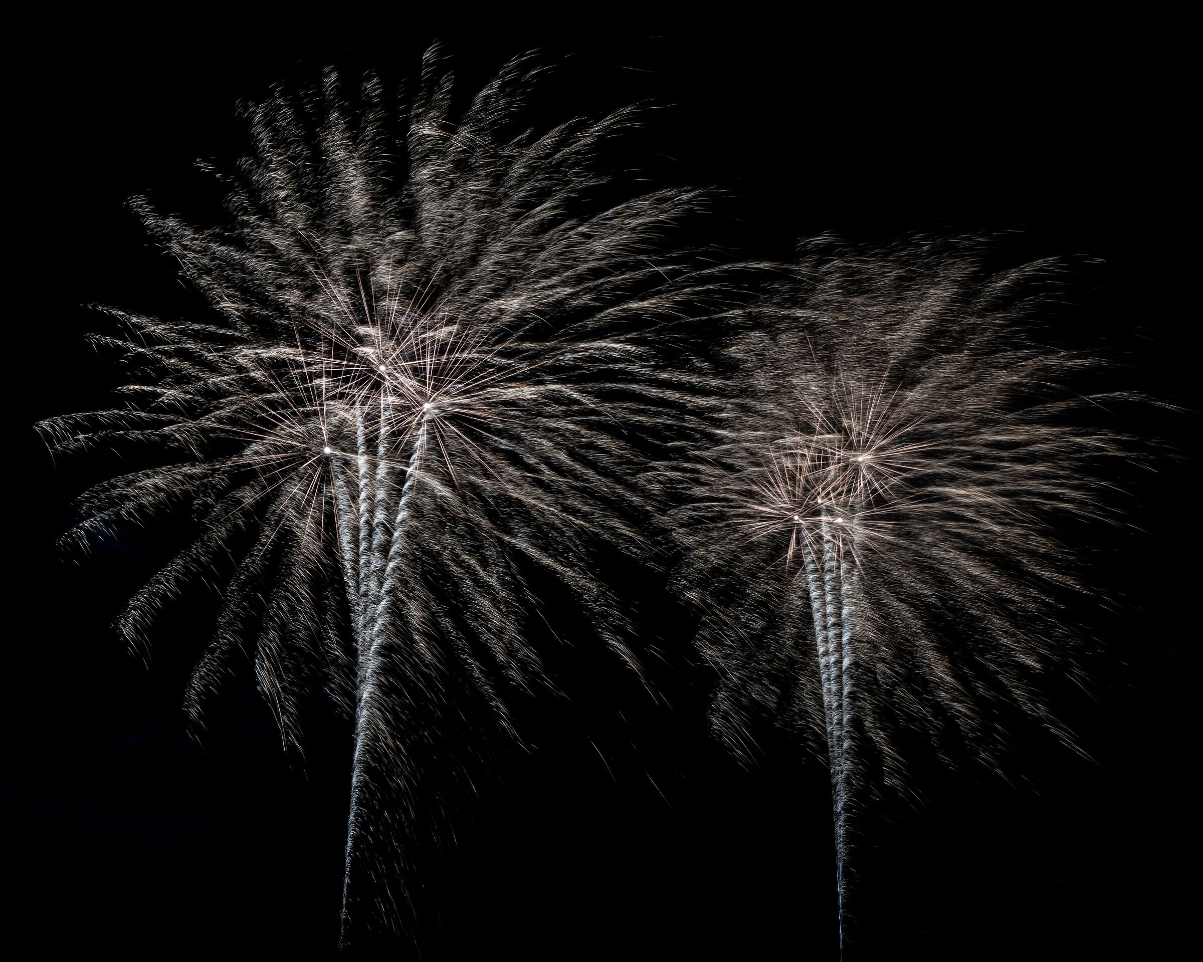 Palme d'artificio
