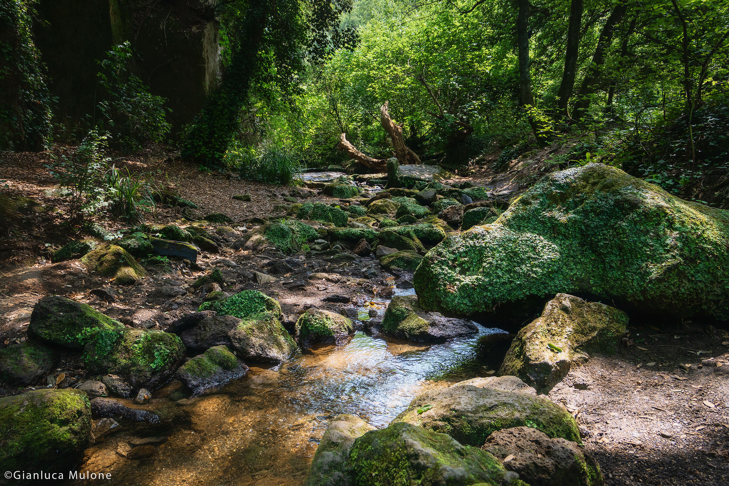 Monte Gelato waterfalls (Secondary watercourse)