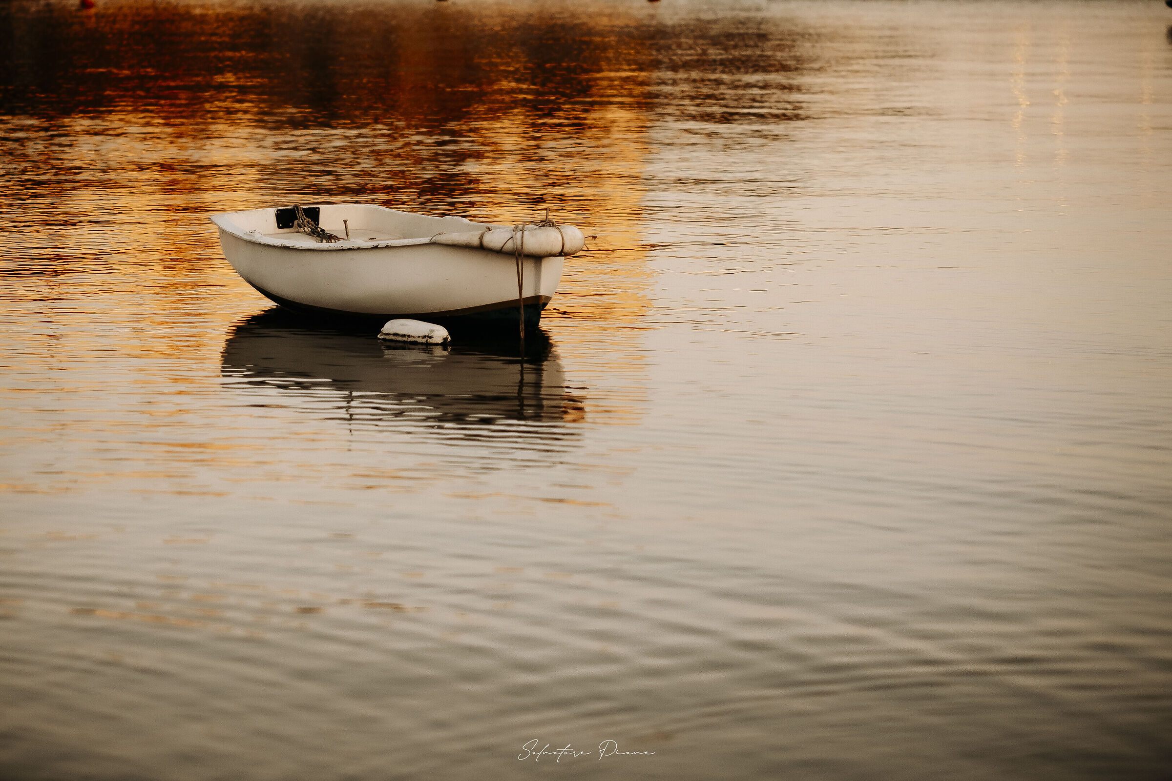 Lampedusa