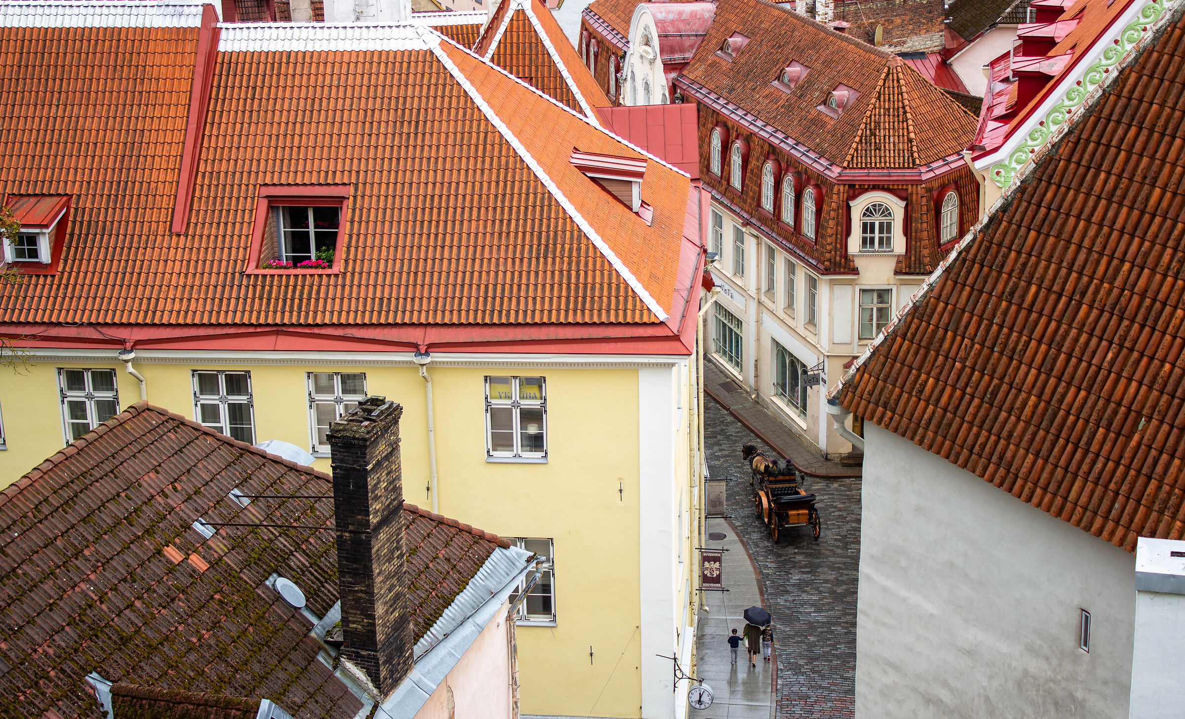 View Platform Old Town, Tallinn, Estonia, 2023