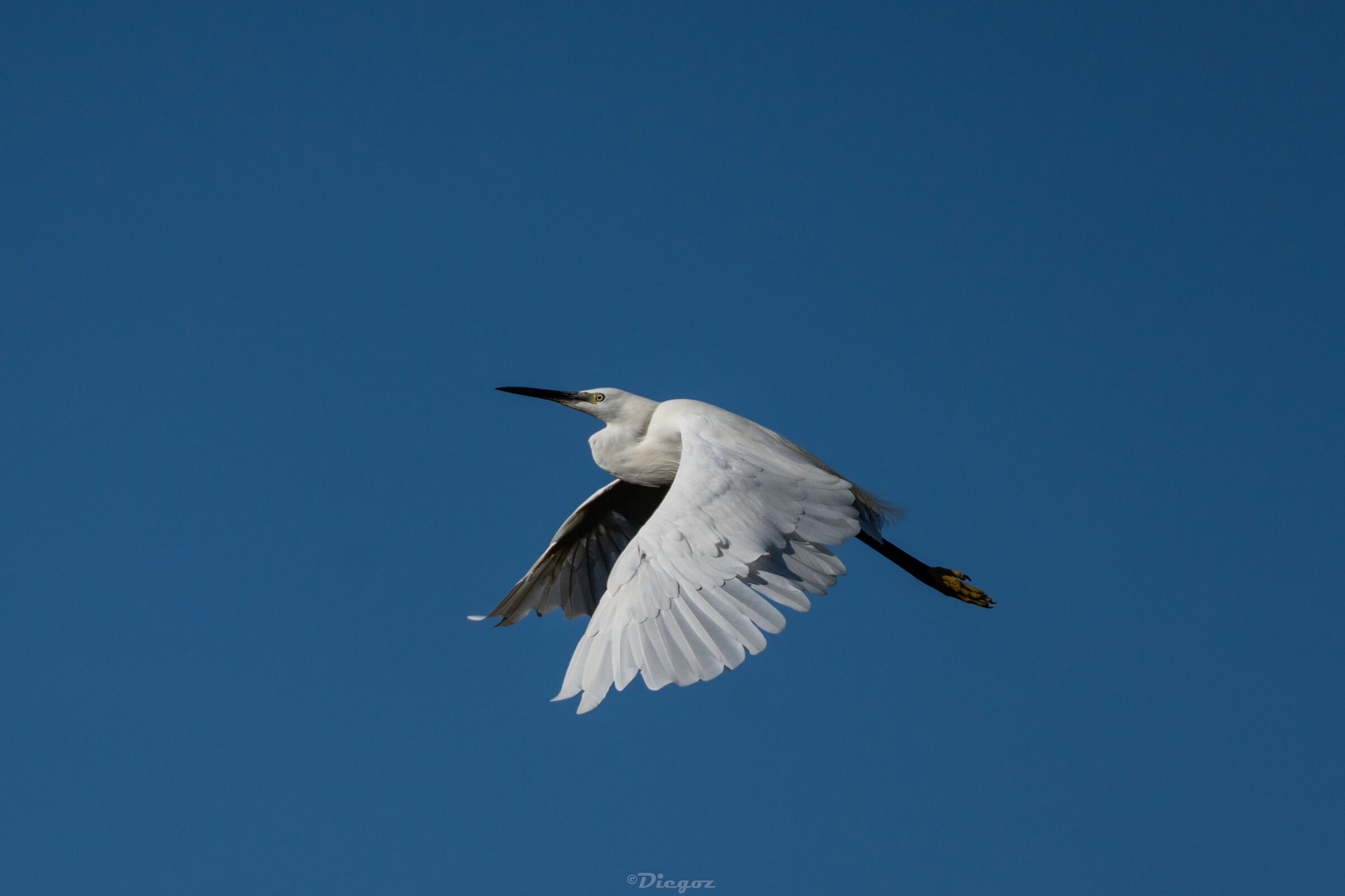 Untitled Photo