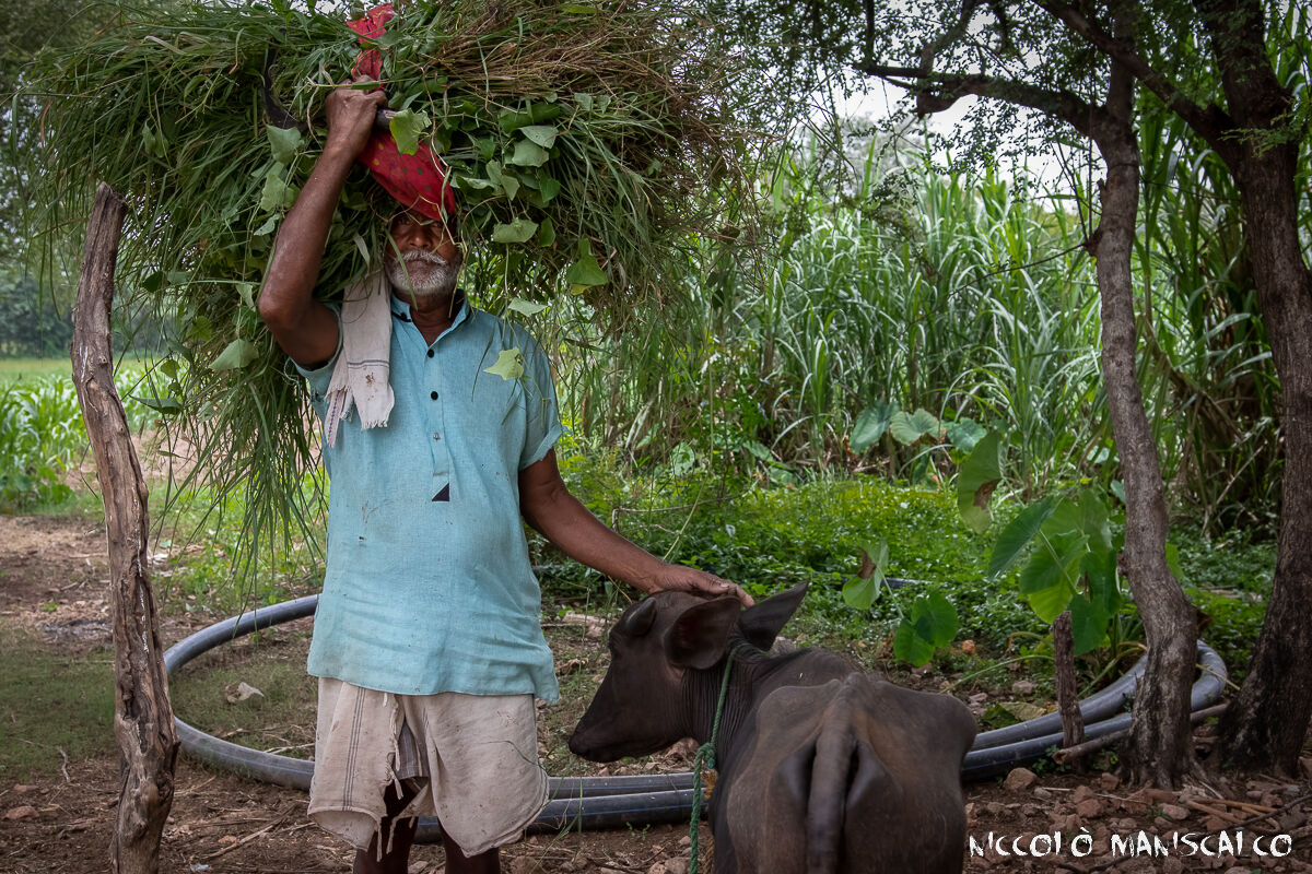 1000 Km Through Rajasthan #7