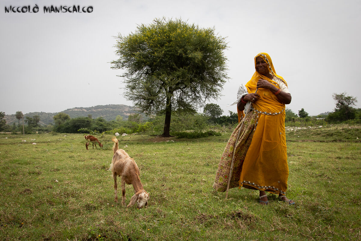 1000 Km Through Rajasthan #10