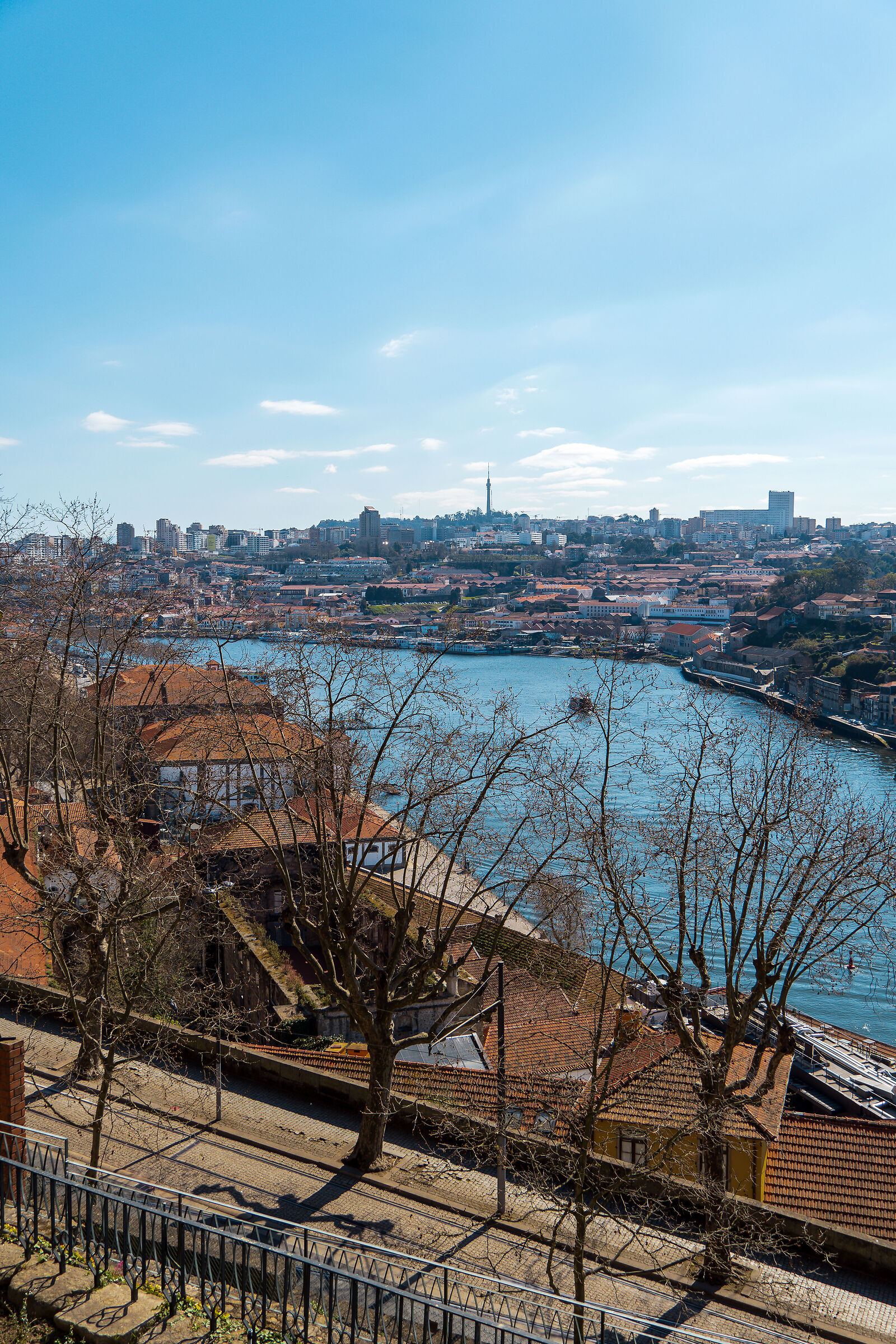 DUORO #4