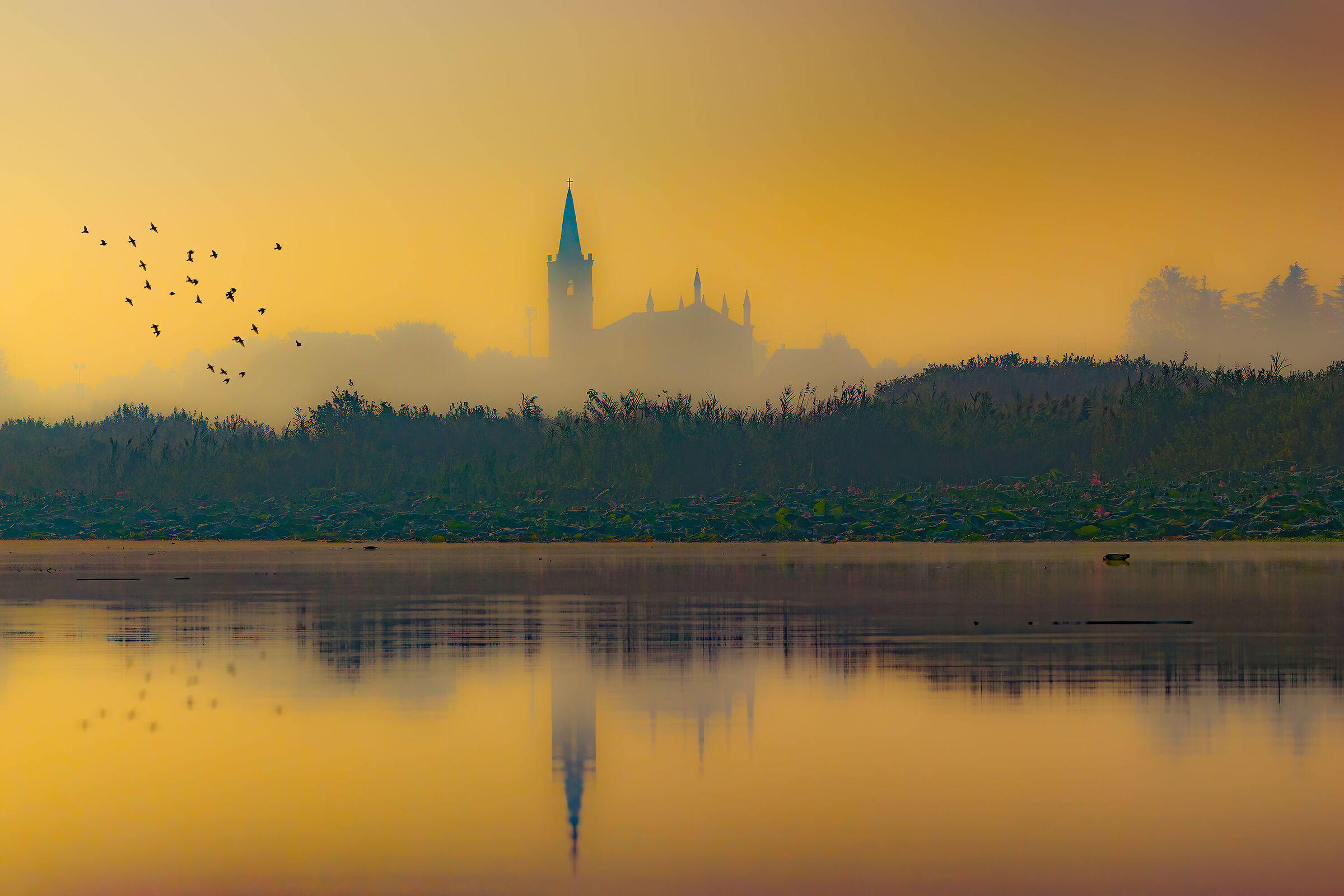 Borgo Angeli - Mantova