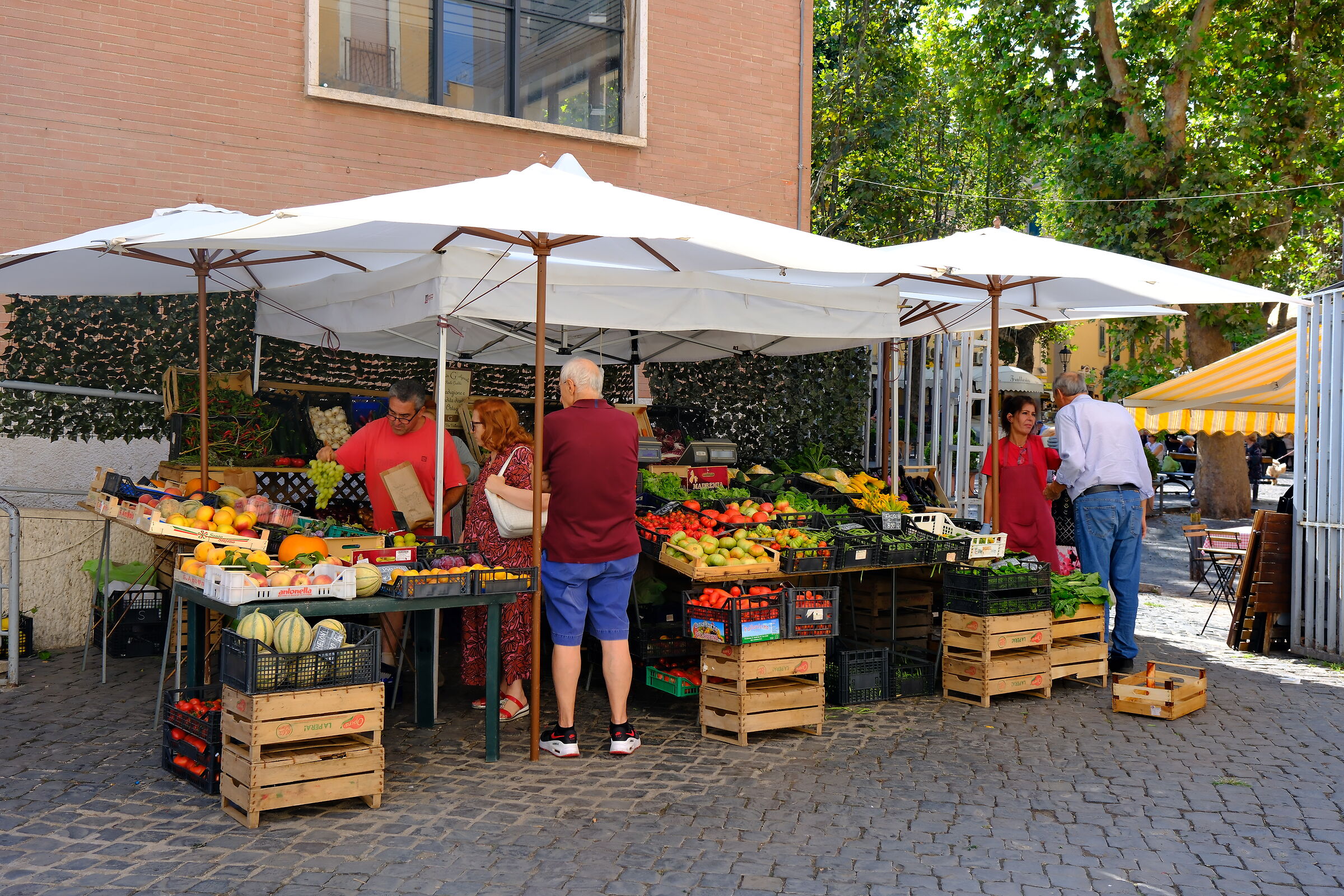 Frascati - Market