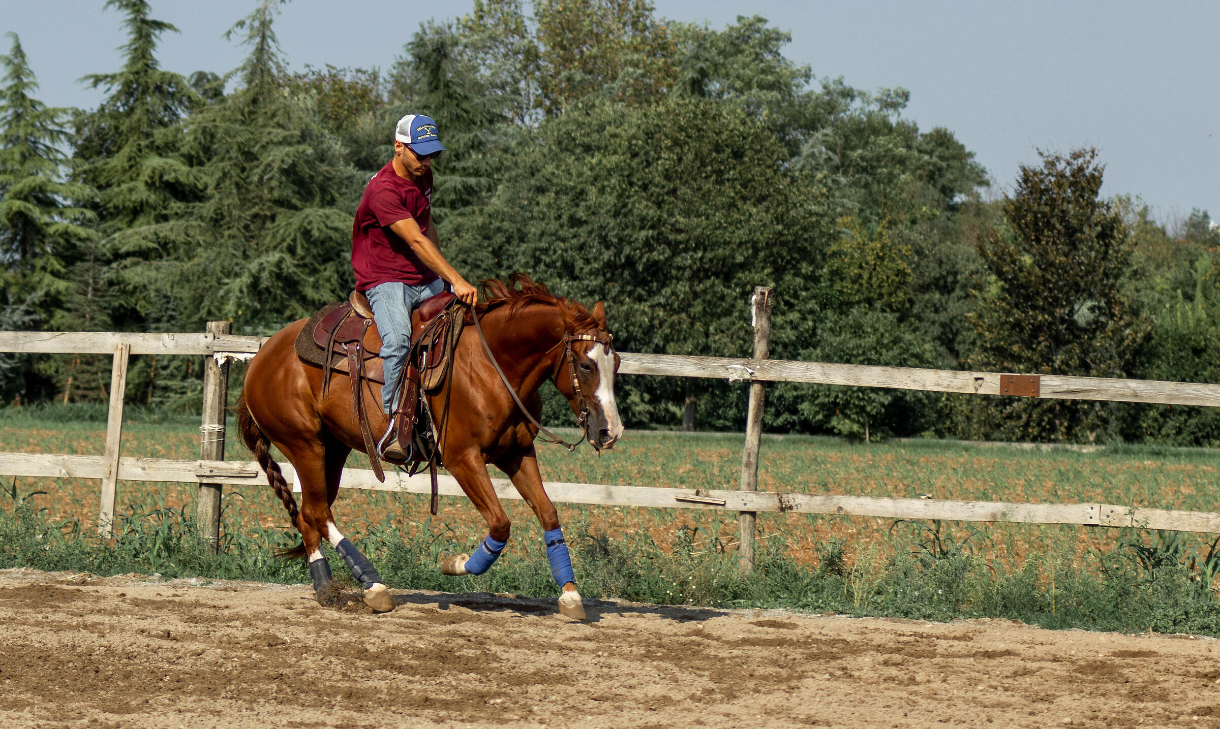 Training