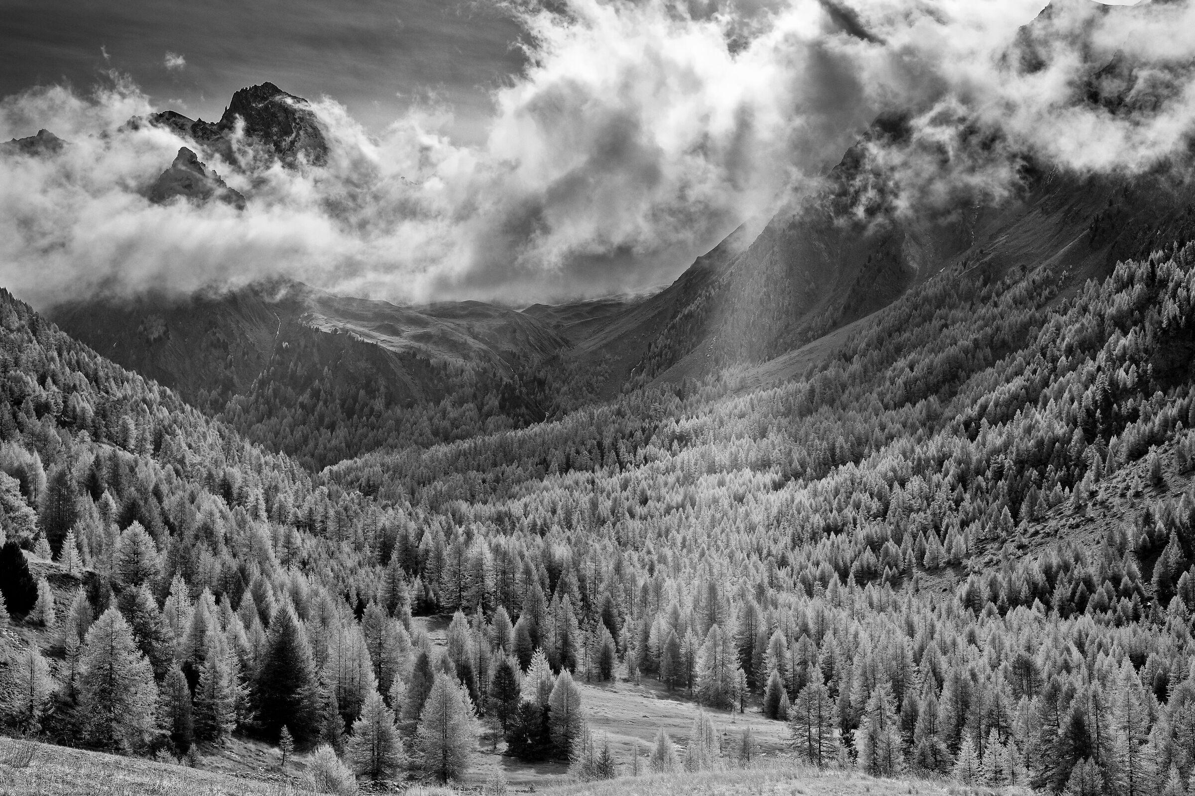 Queyras, a park to discover