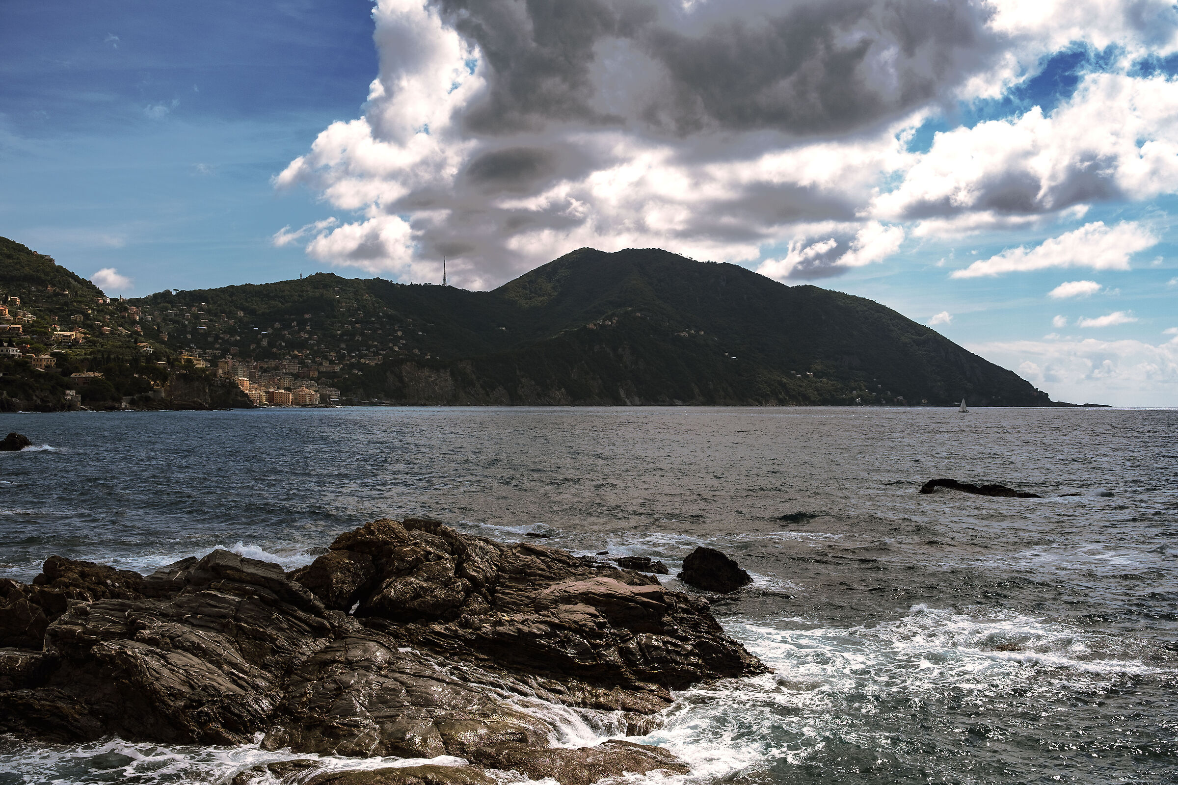 A sail in the middle of the sea