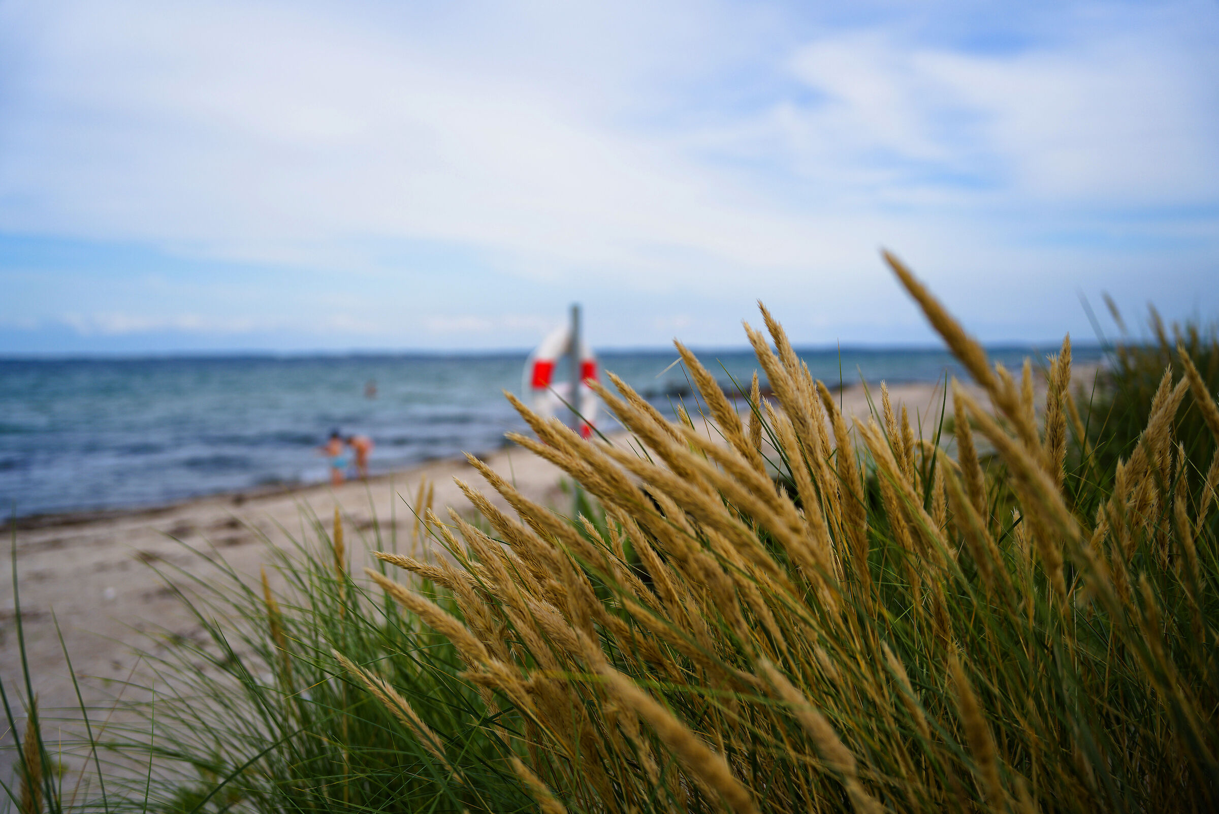 Danimarca - Spiaggia di Hasmark