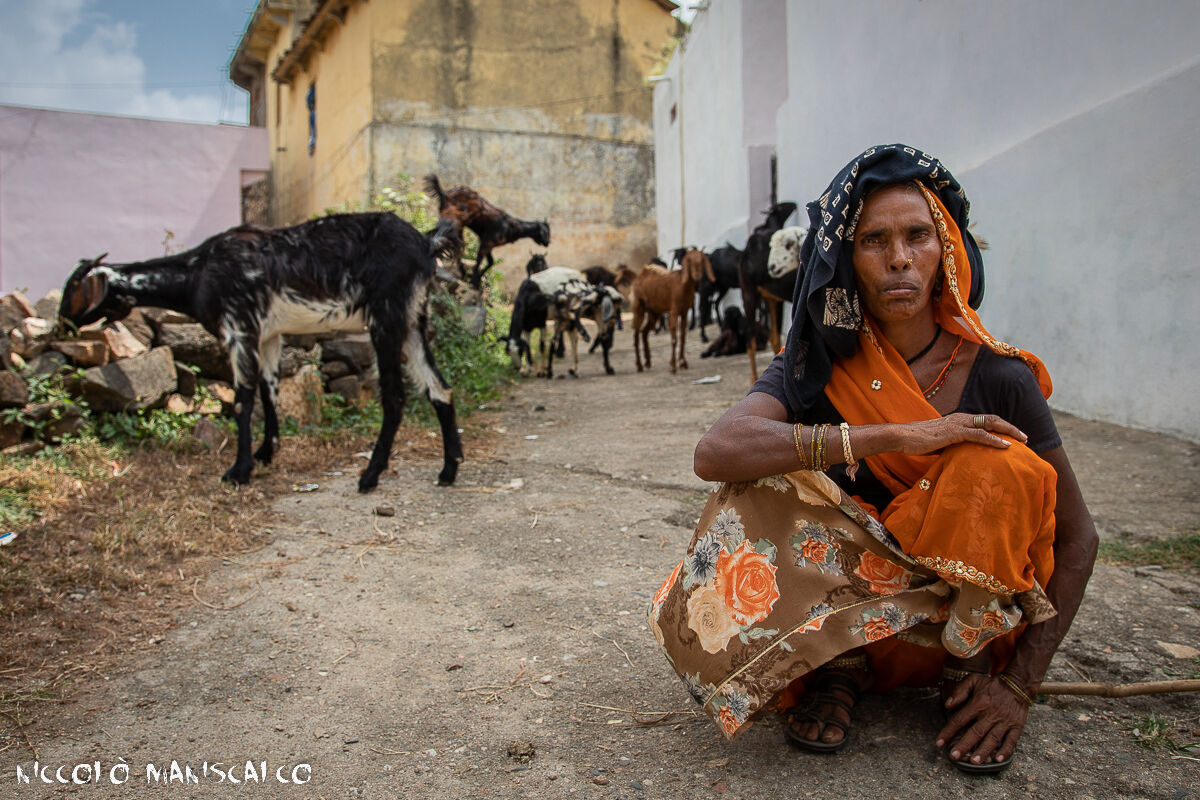 1000 Km Through Rajasthan #3