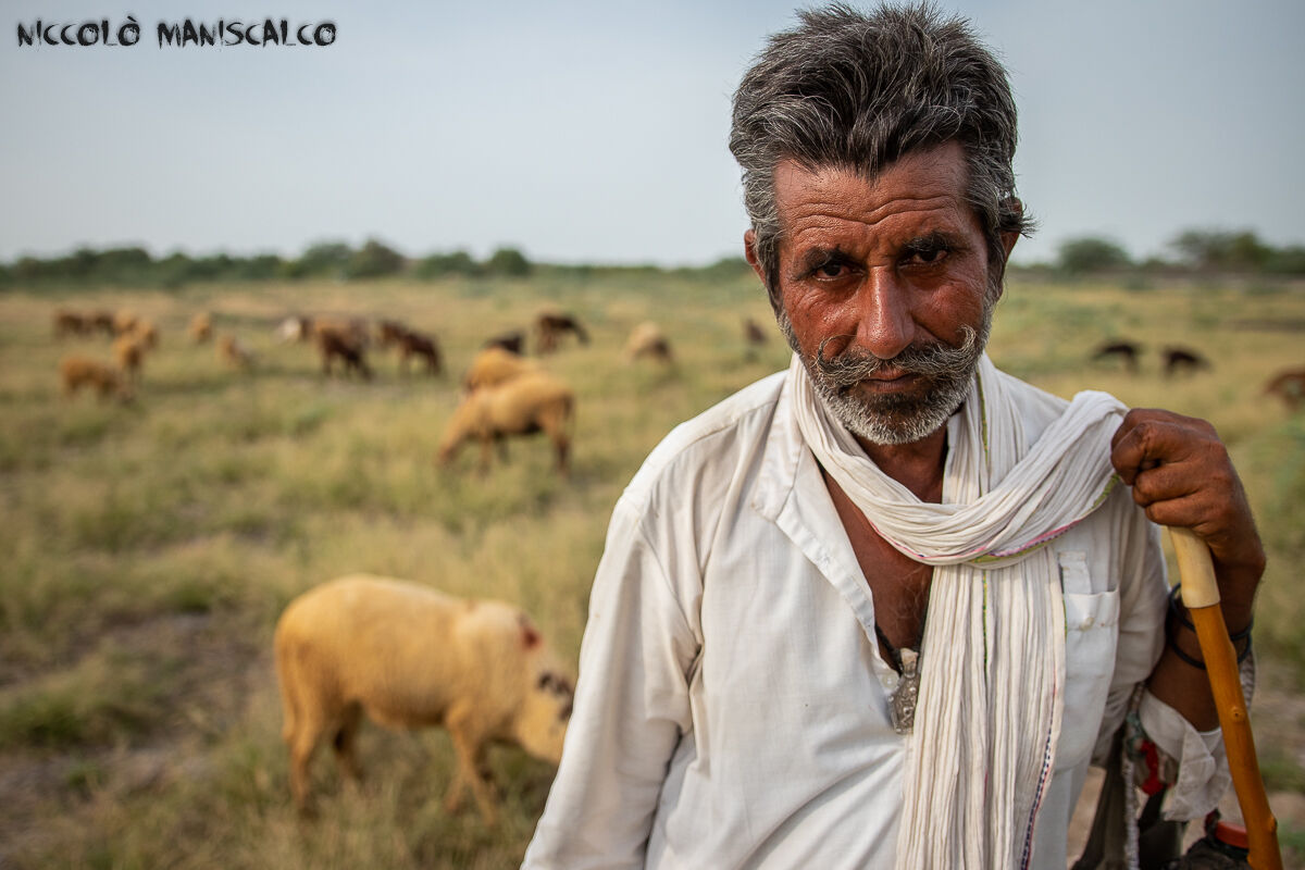 1000 Km Through Rajasthan #16