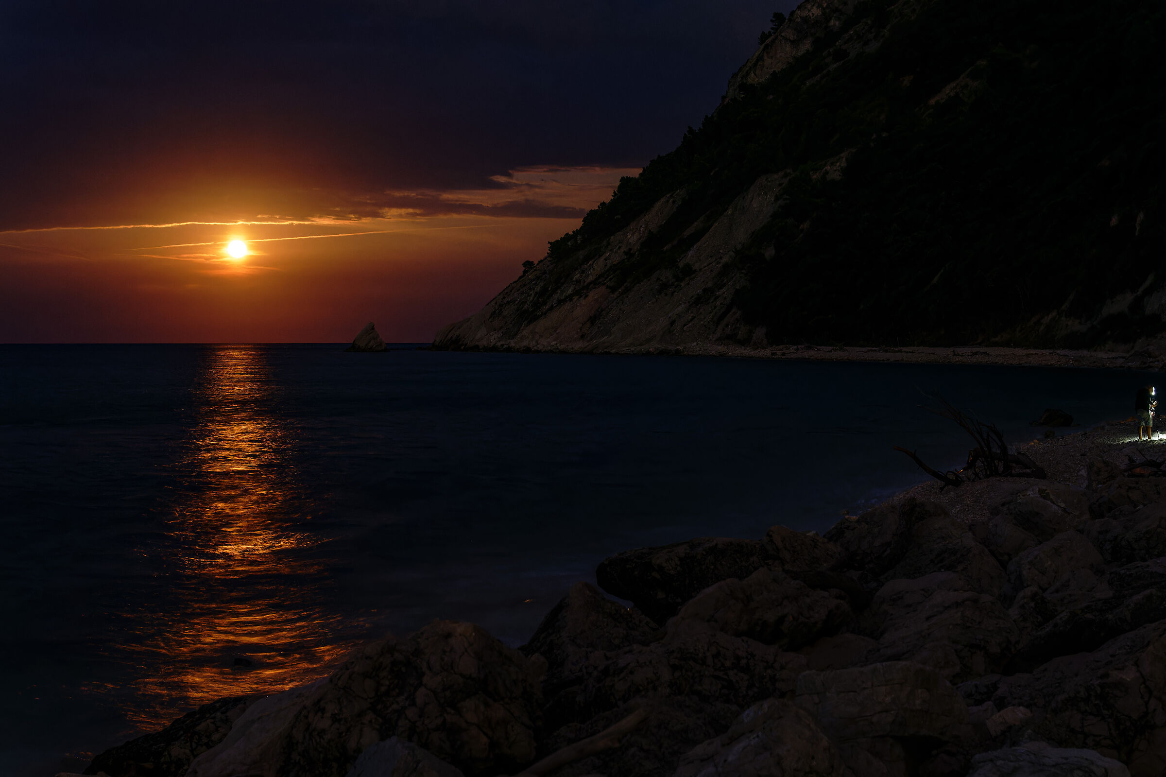 Untitled Photo
