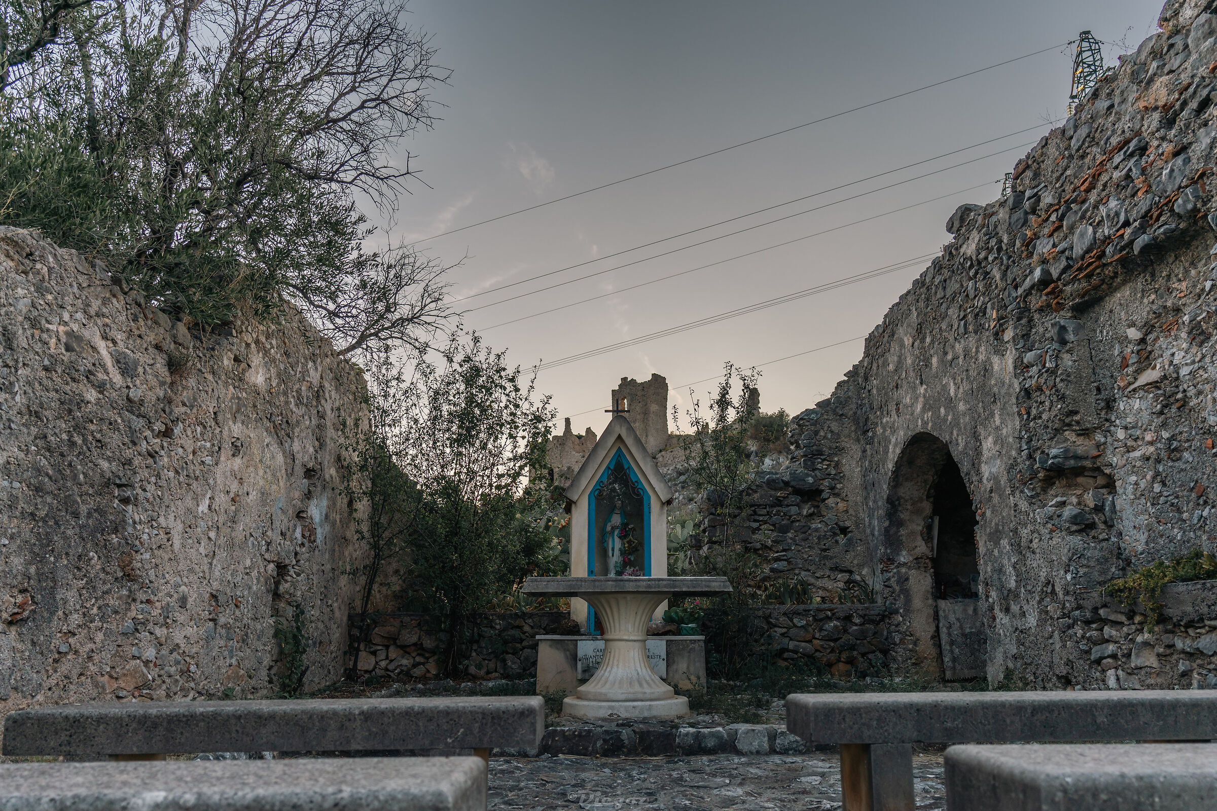 Untitled Photo
