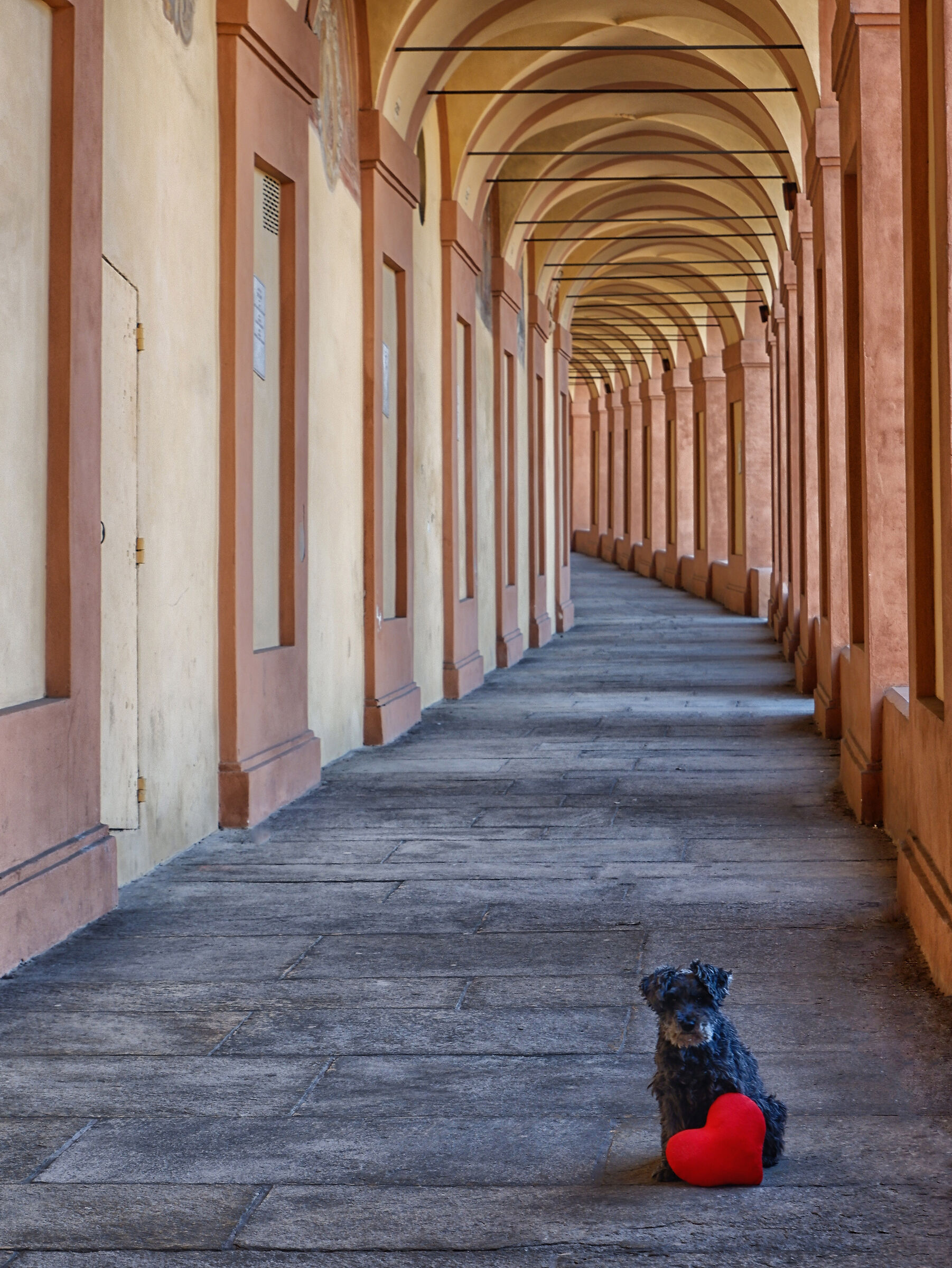 Noi due (per le strade di Bologna)