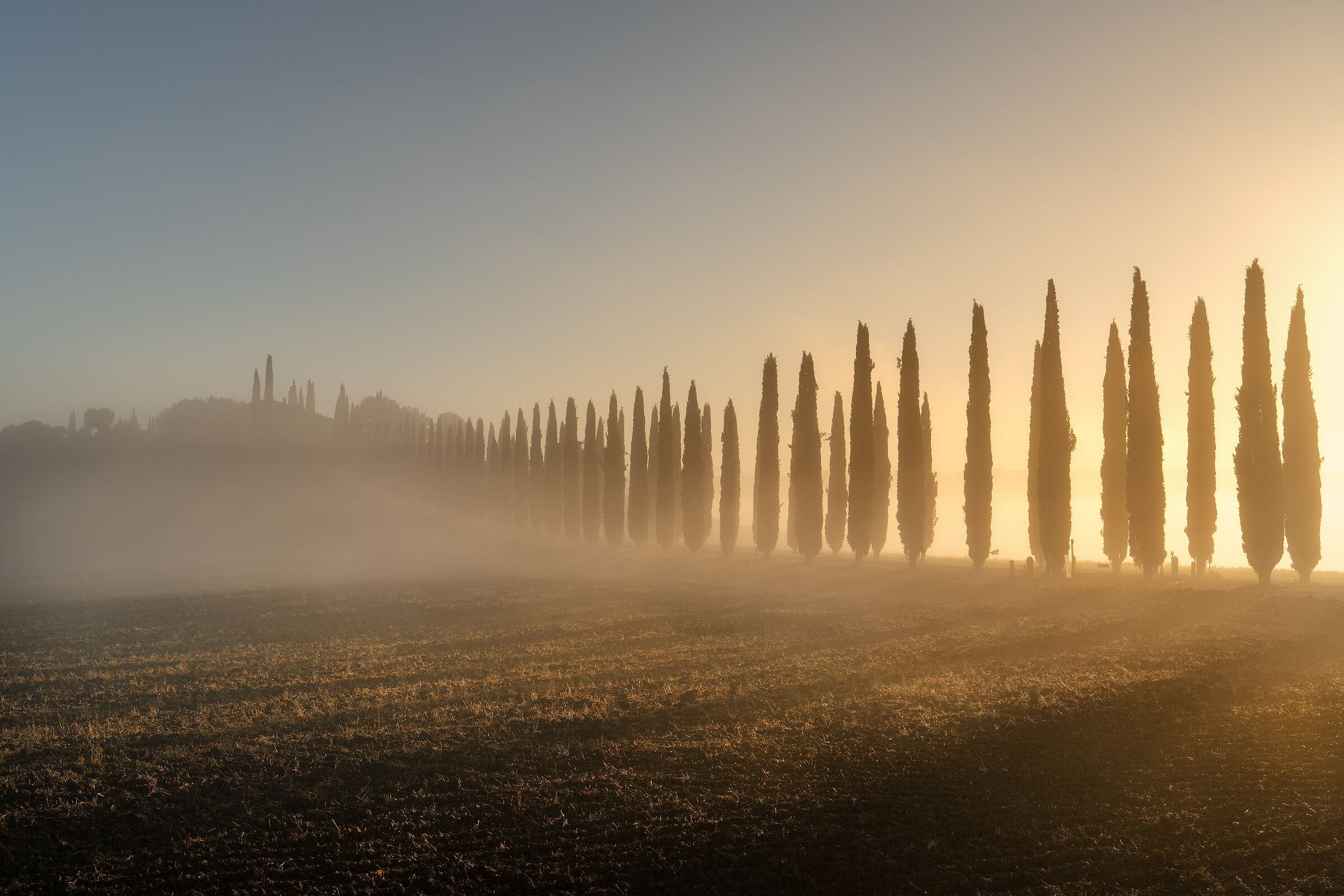 Il risveglio del poggio