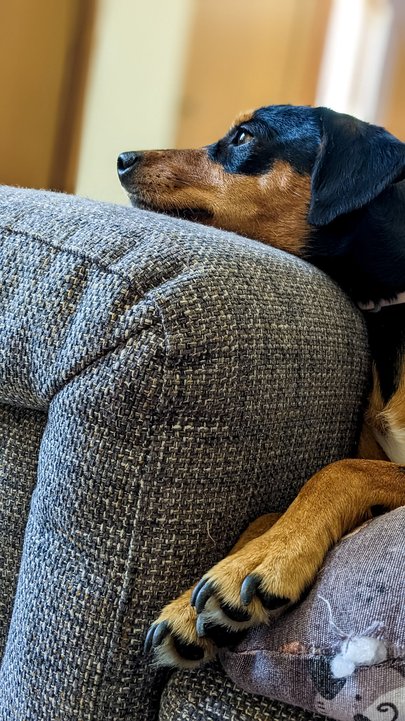 Thoughtful