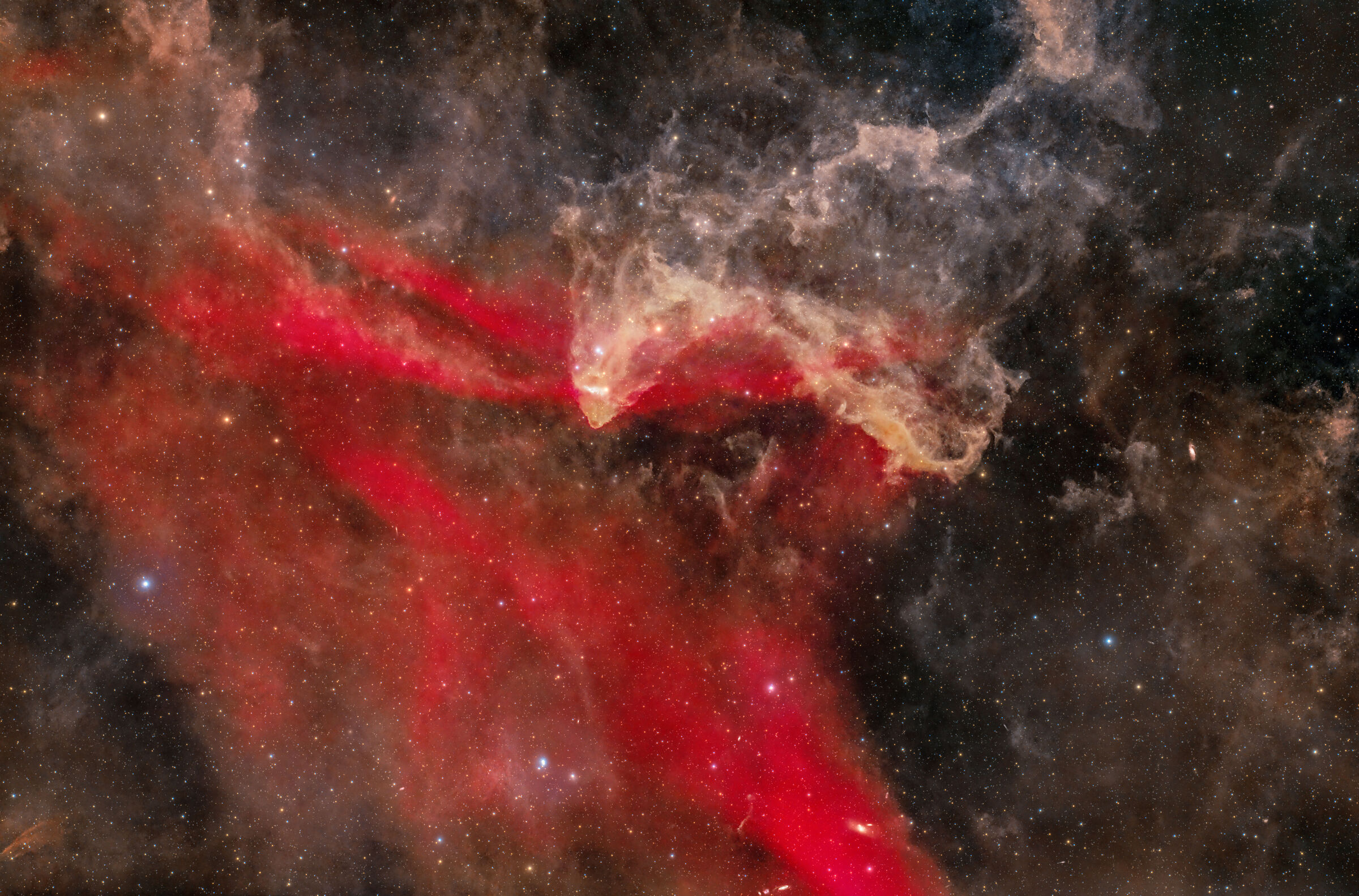 Lbn 437 - Gecko Nebula