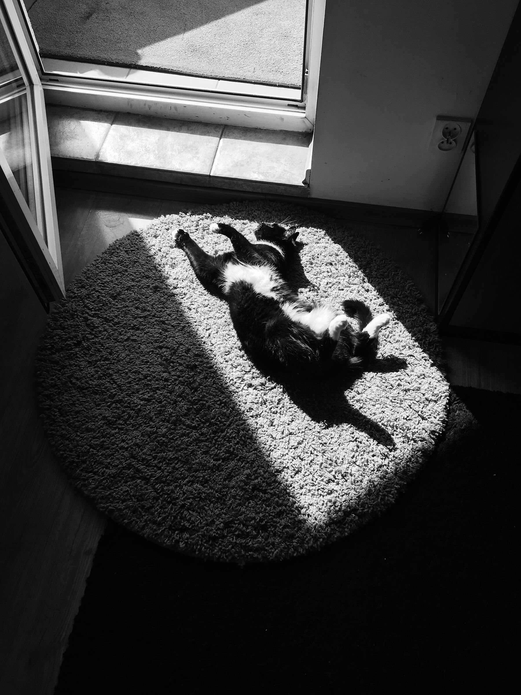 stiamo prendendo il sole