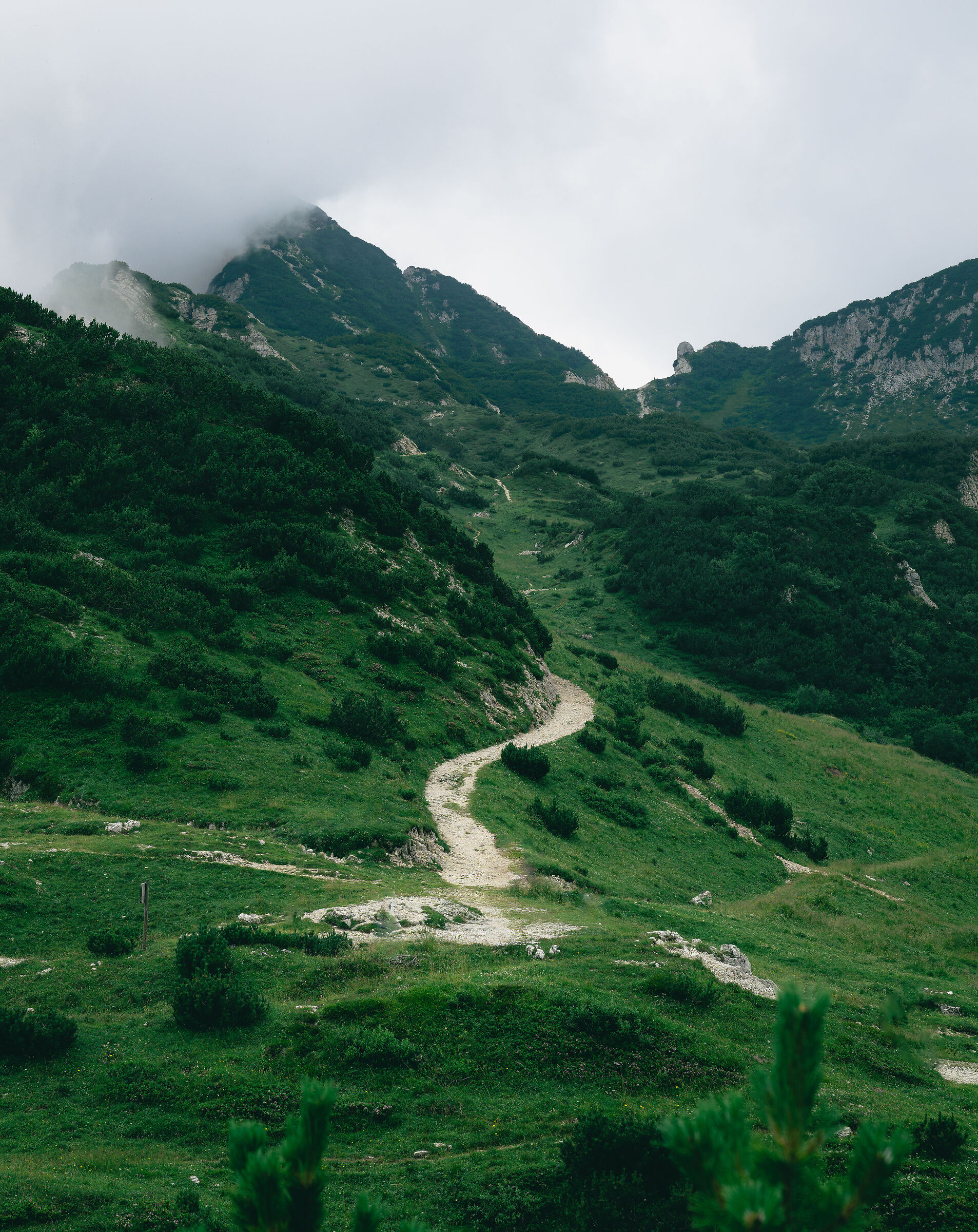 On the road to Fraccaroli