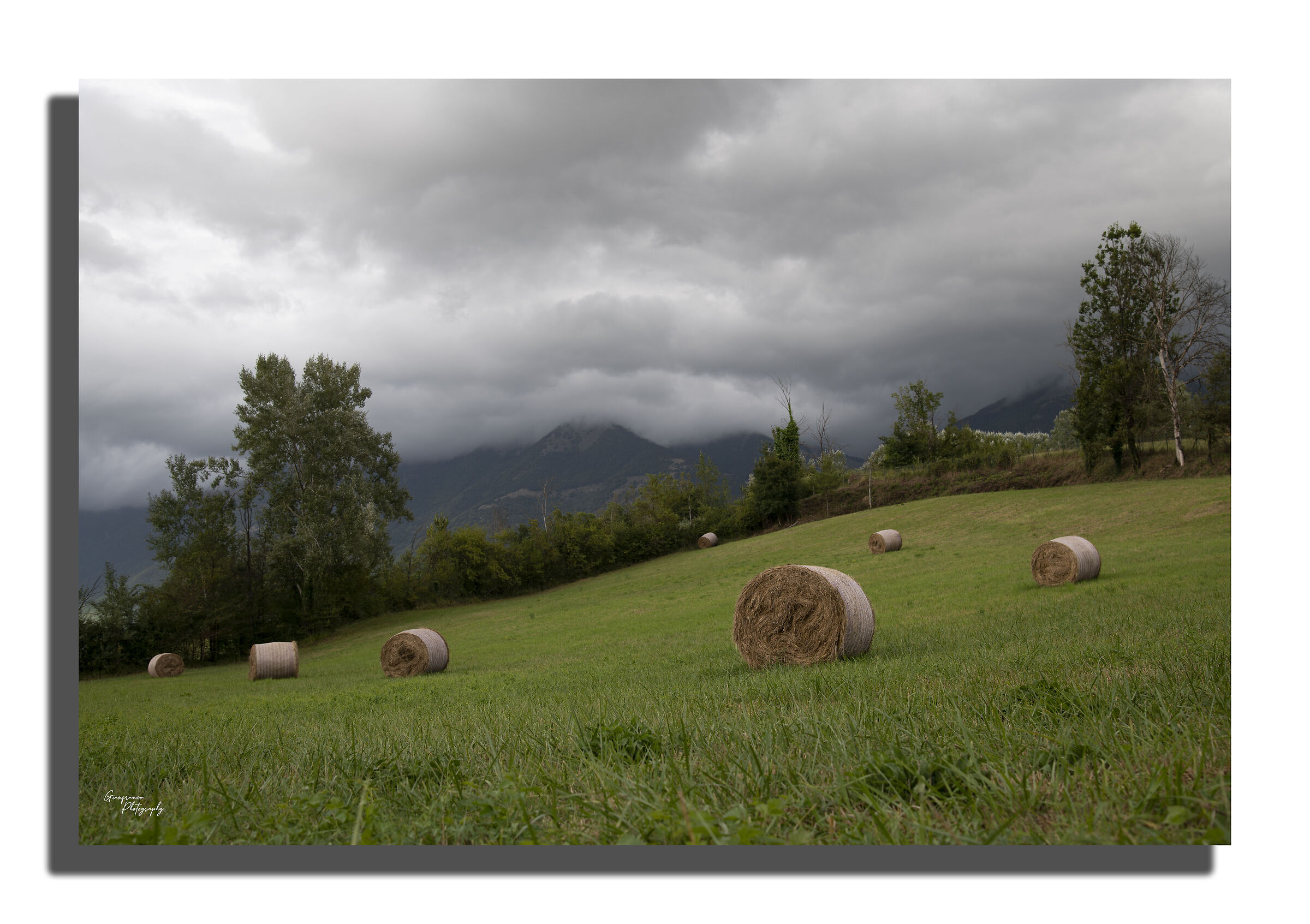Geometries in fields
