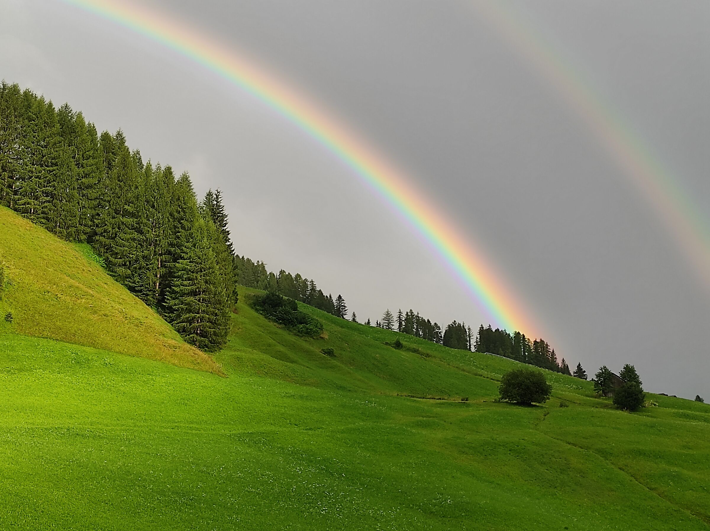 Dopo la tempesta