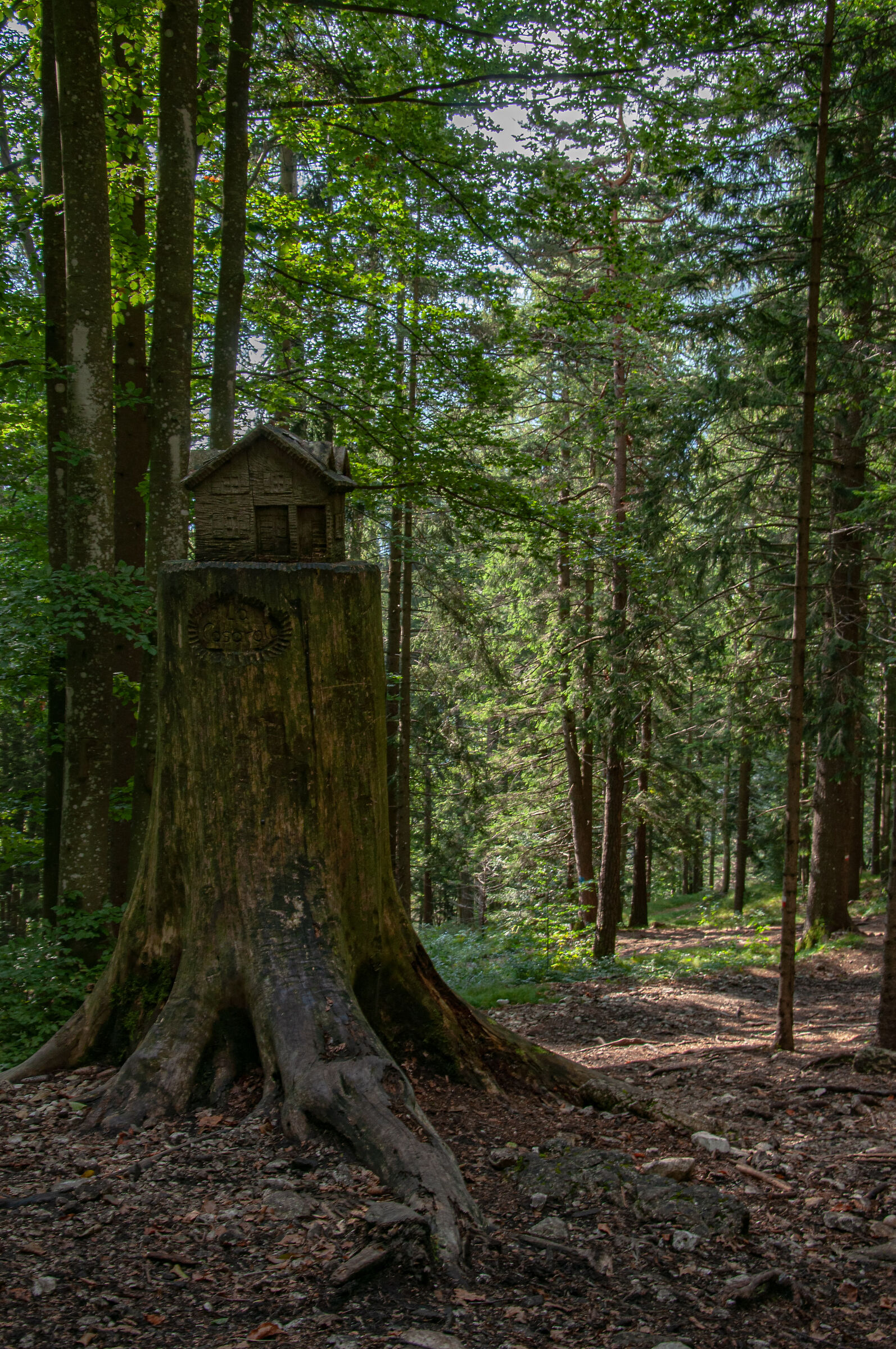 La casetta nel bosco