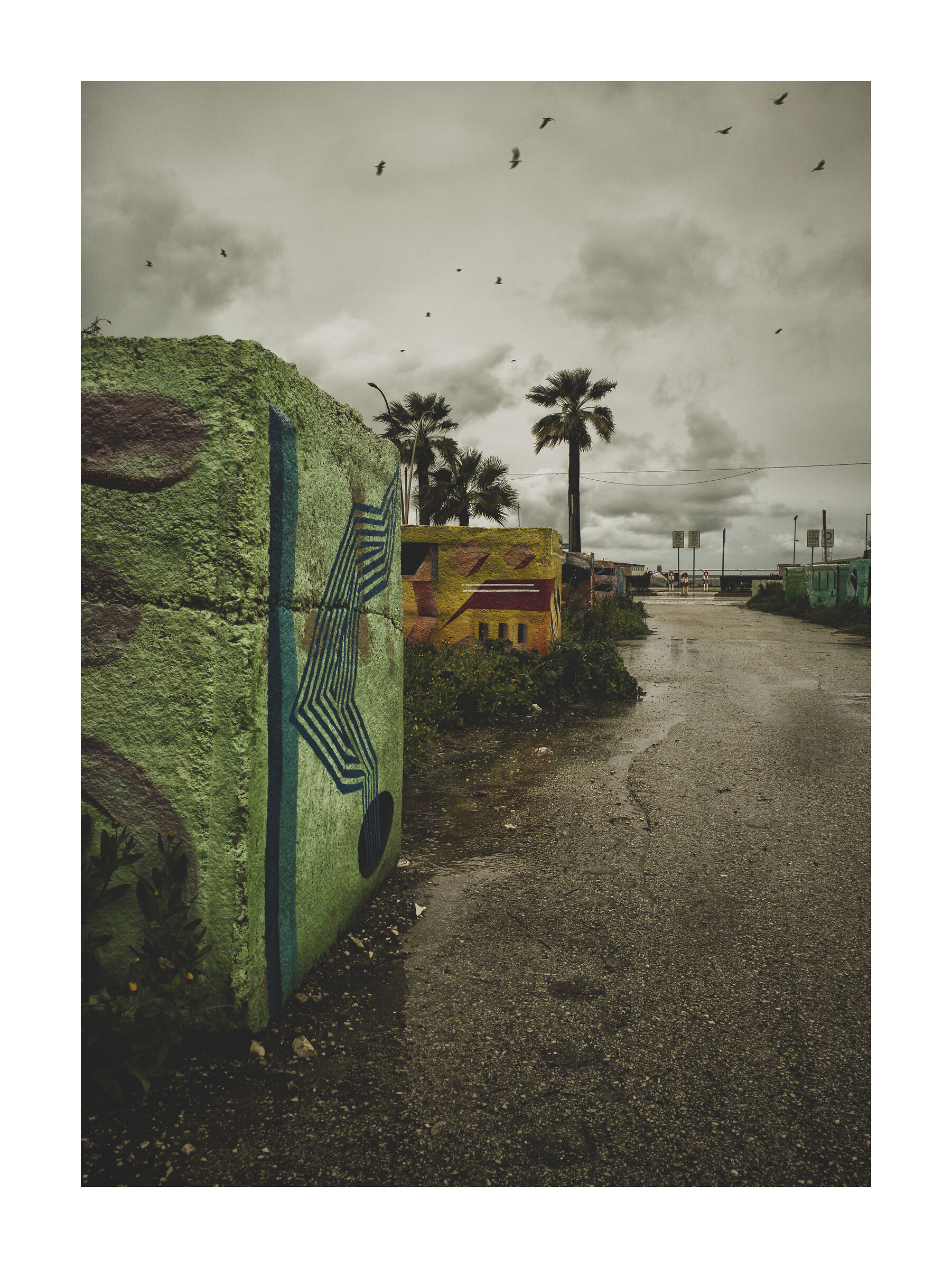 Untitled Photo